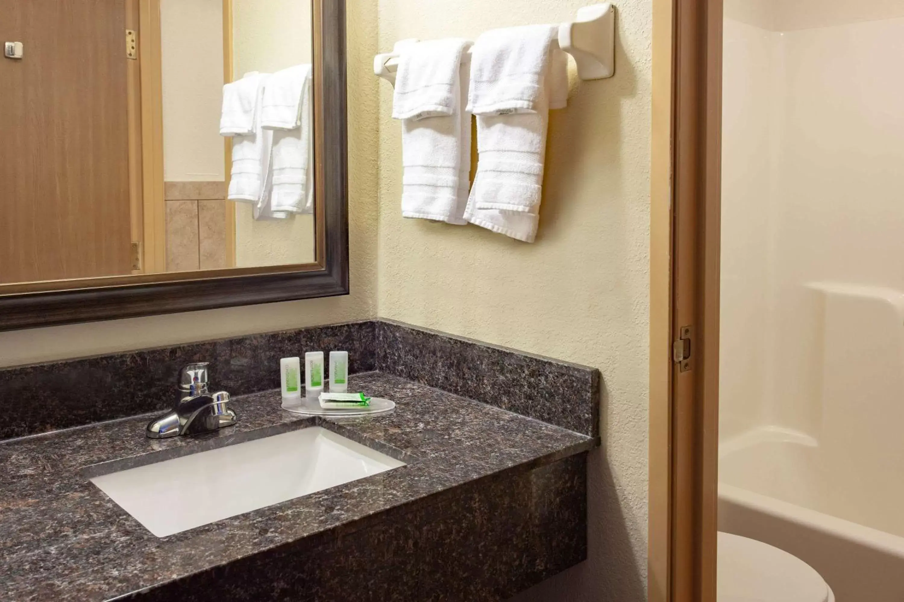 Bathroom in AmericInn by Wyndham Ham Lake