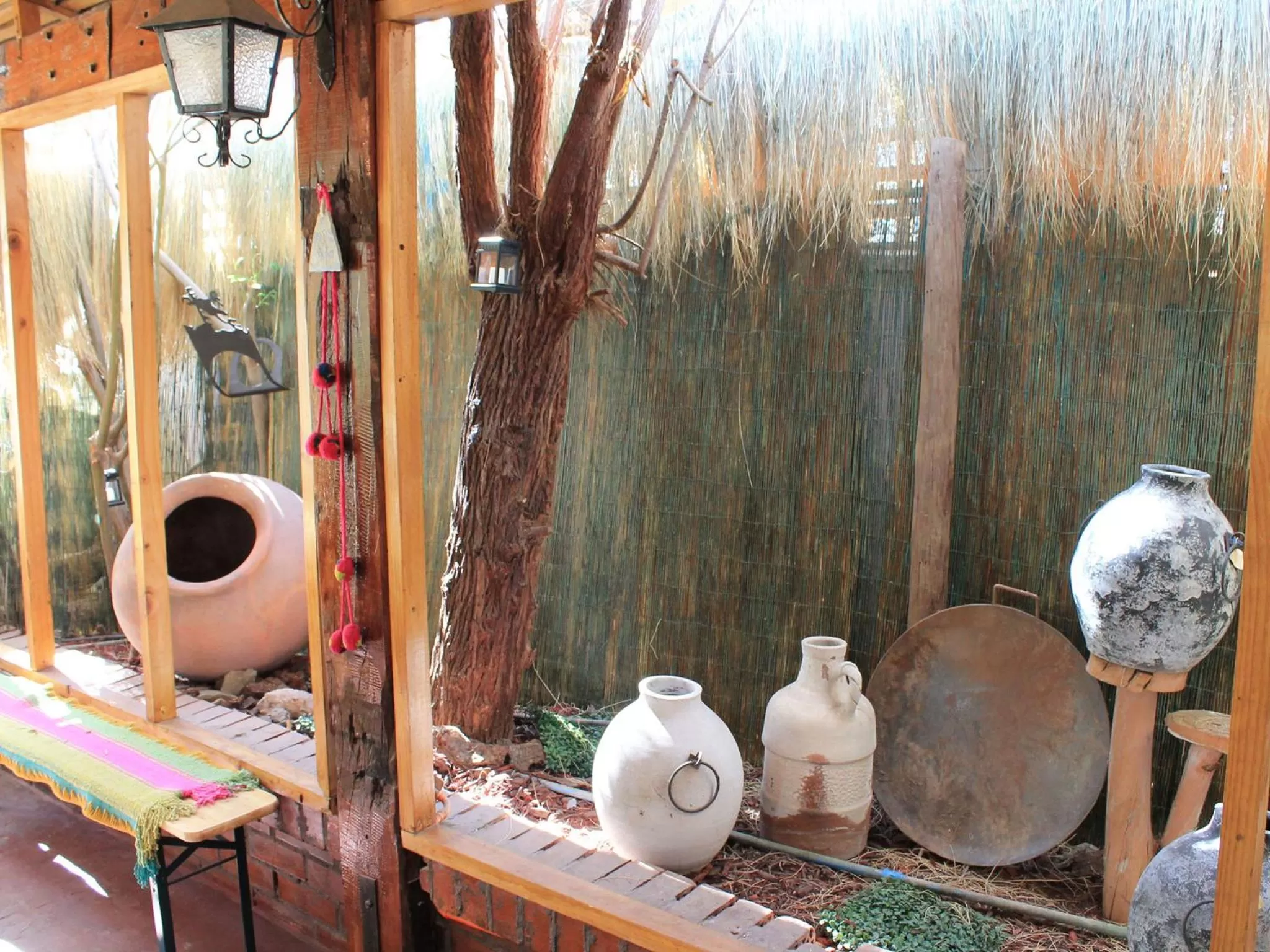 Garden in Atankalama