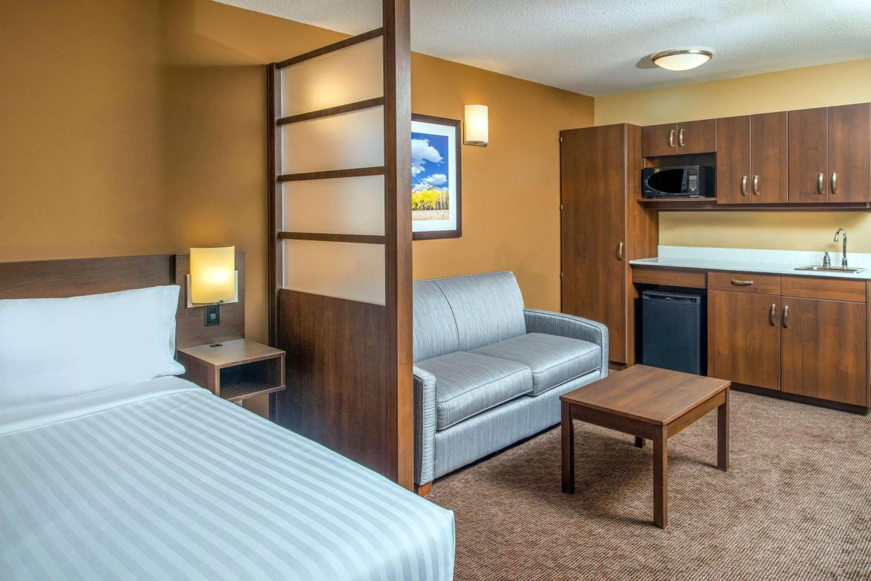 Business Queen Room - Non-Smoking in Microtel Inn & Suites by Wyndham Red Deer