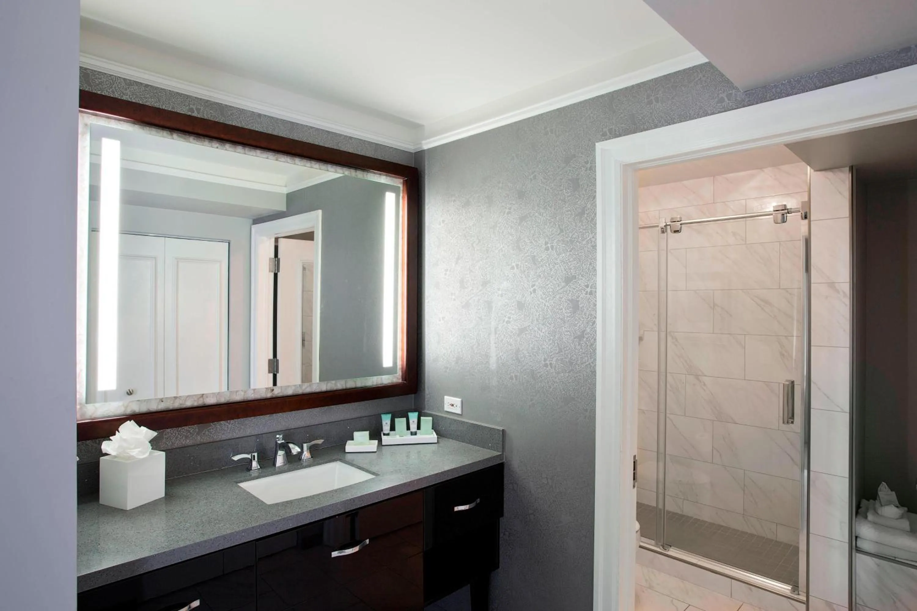 Bathroom in Ambassador Hotel Tulsa, Autograph Collection