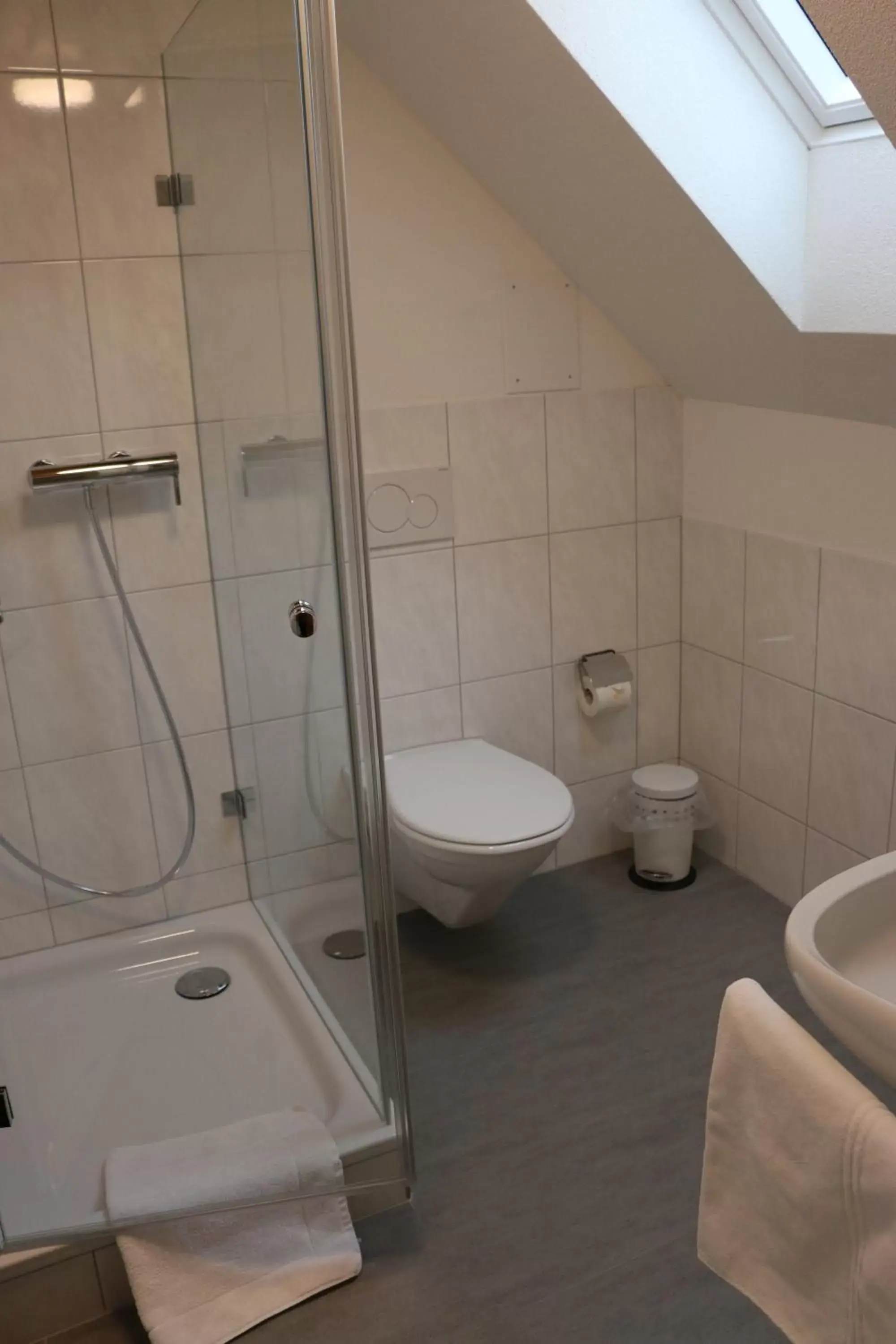 Bathroom in Hotel Lowen