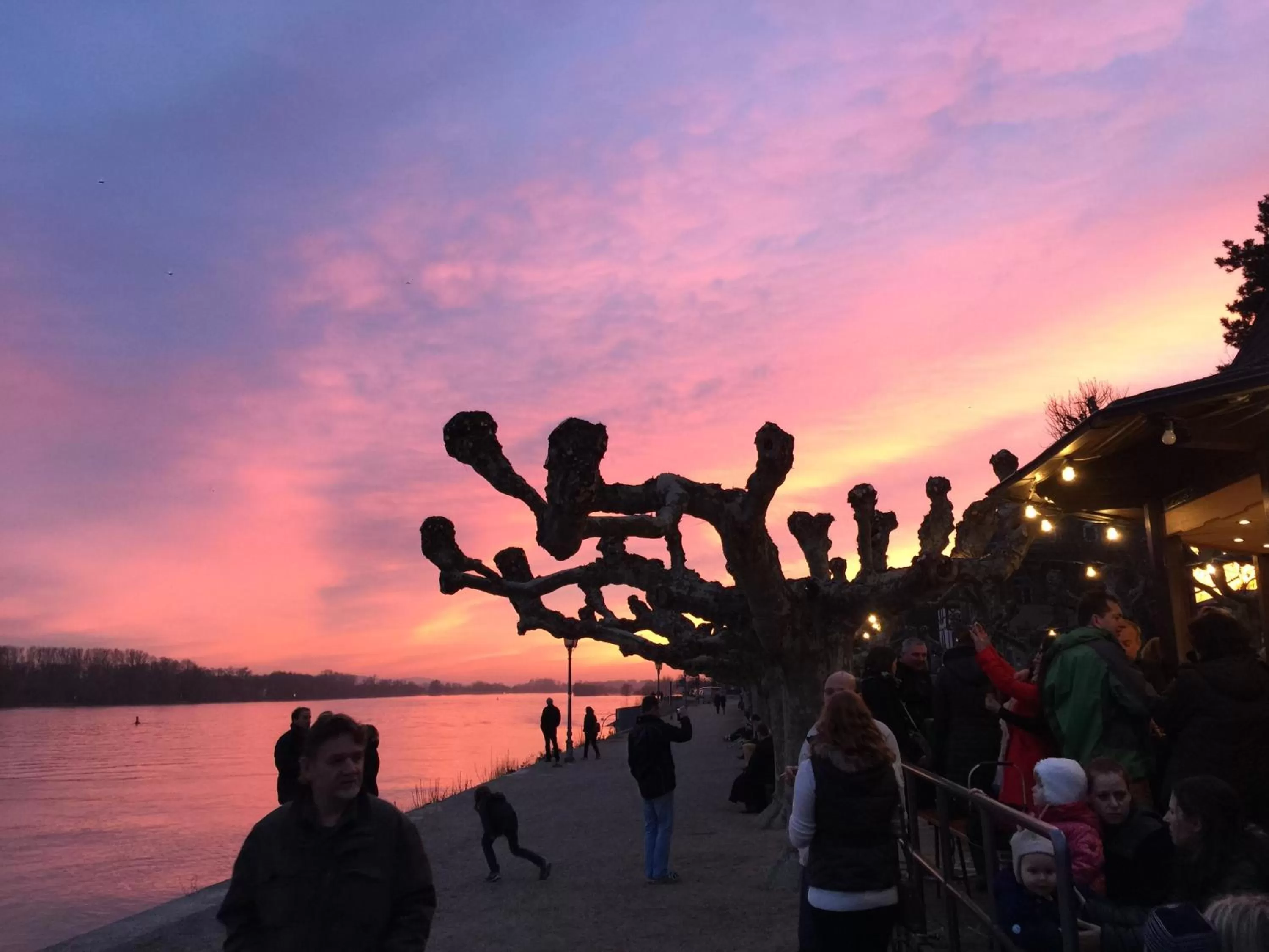 Natural landscape in Weinhotel Koegler
