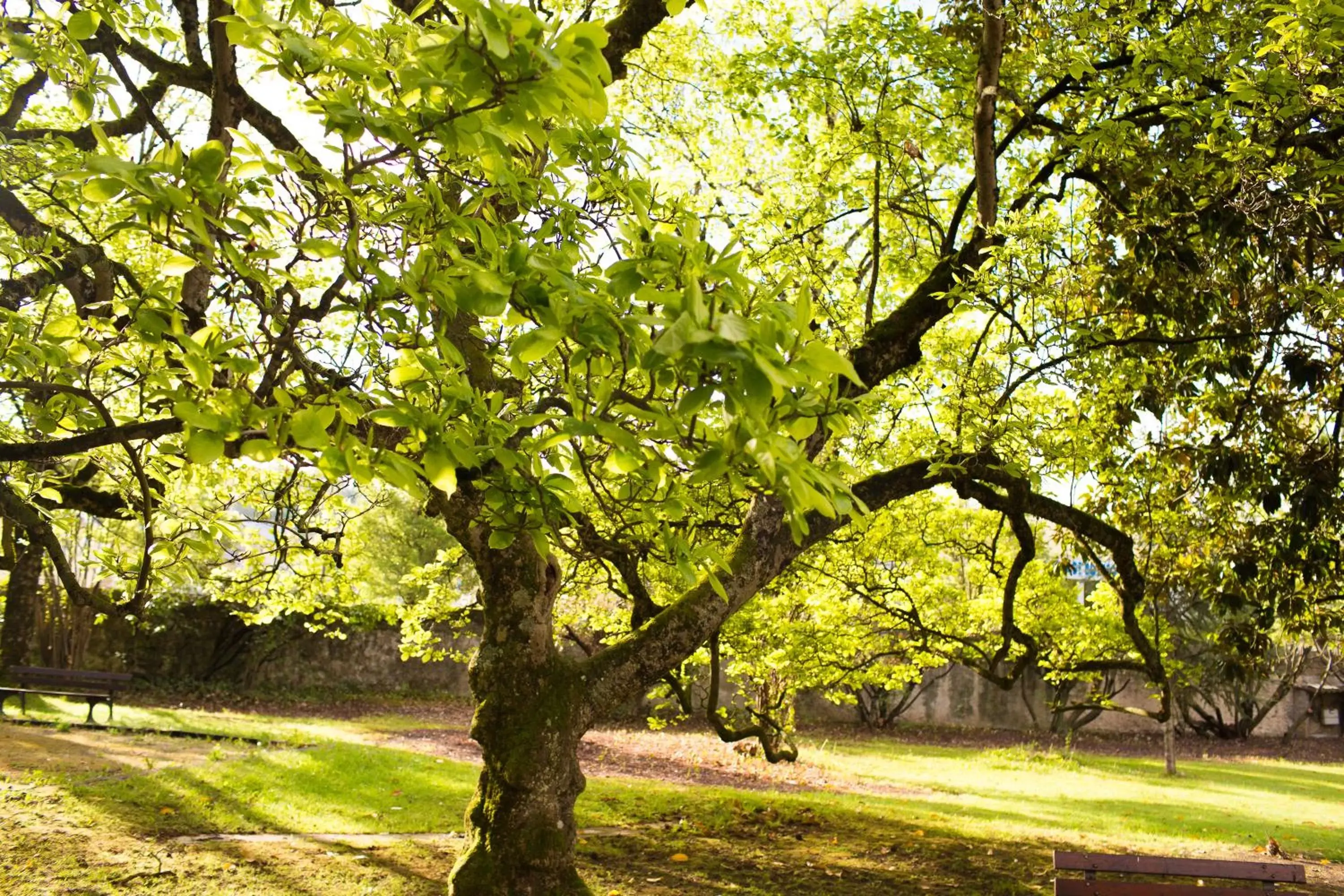 Garden in VILLA BONVOULOIR