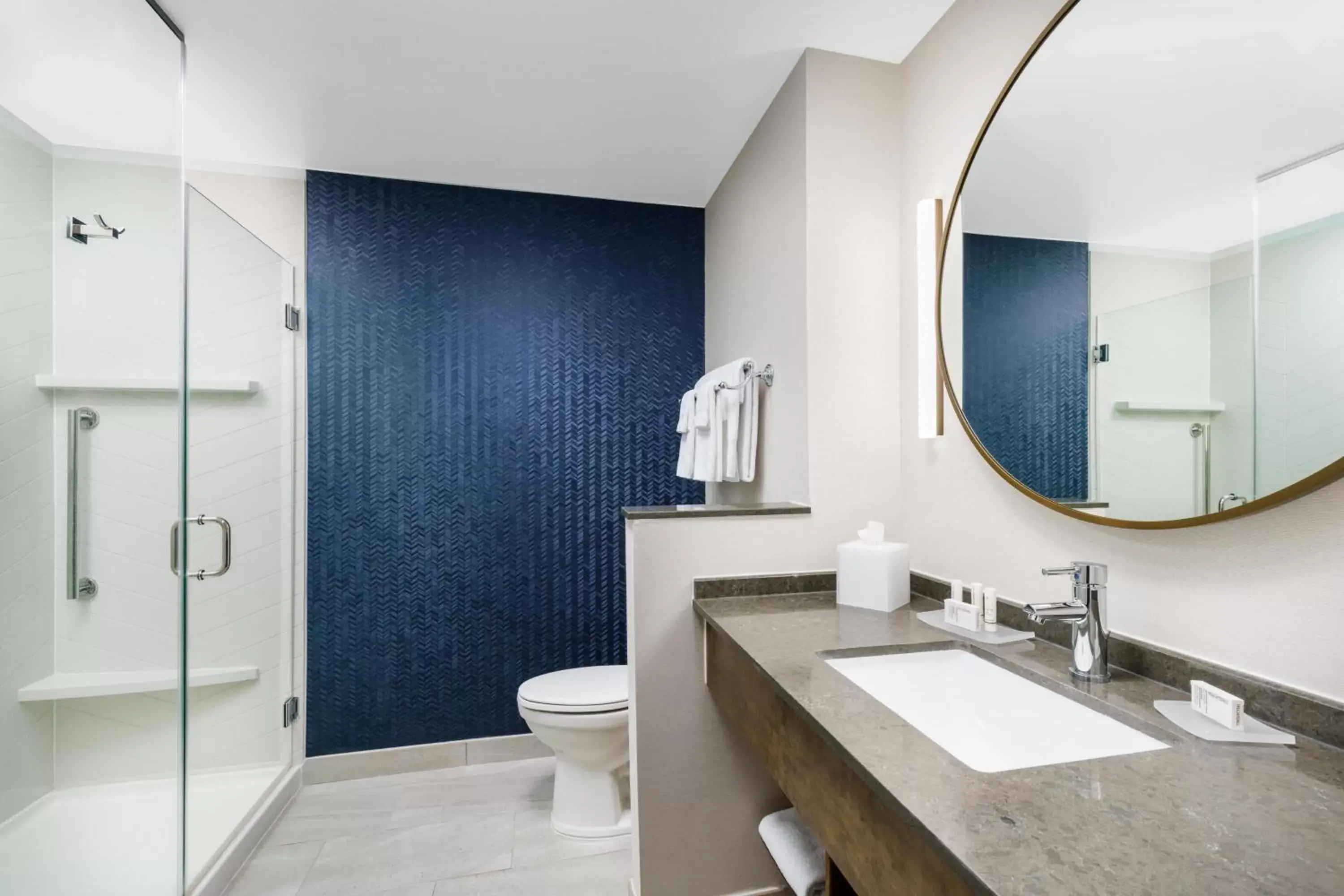 Bathroom in Fairfield Inn & Suites by Marriott Oakhurst Yosemite