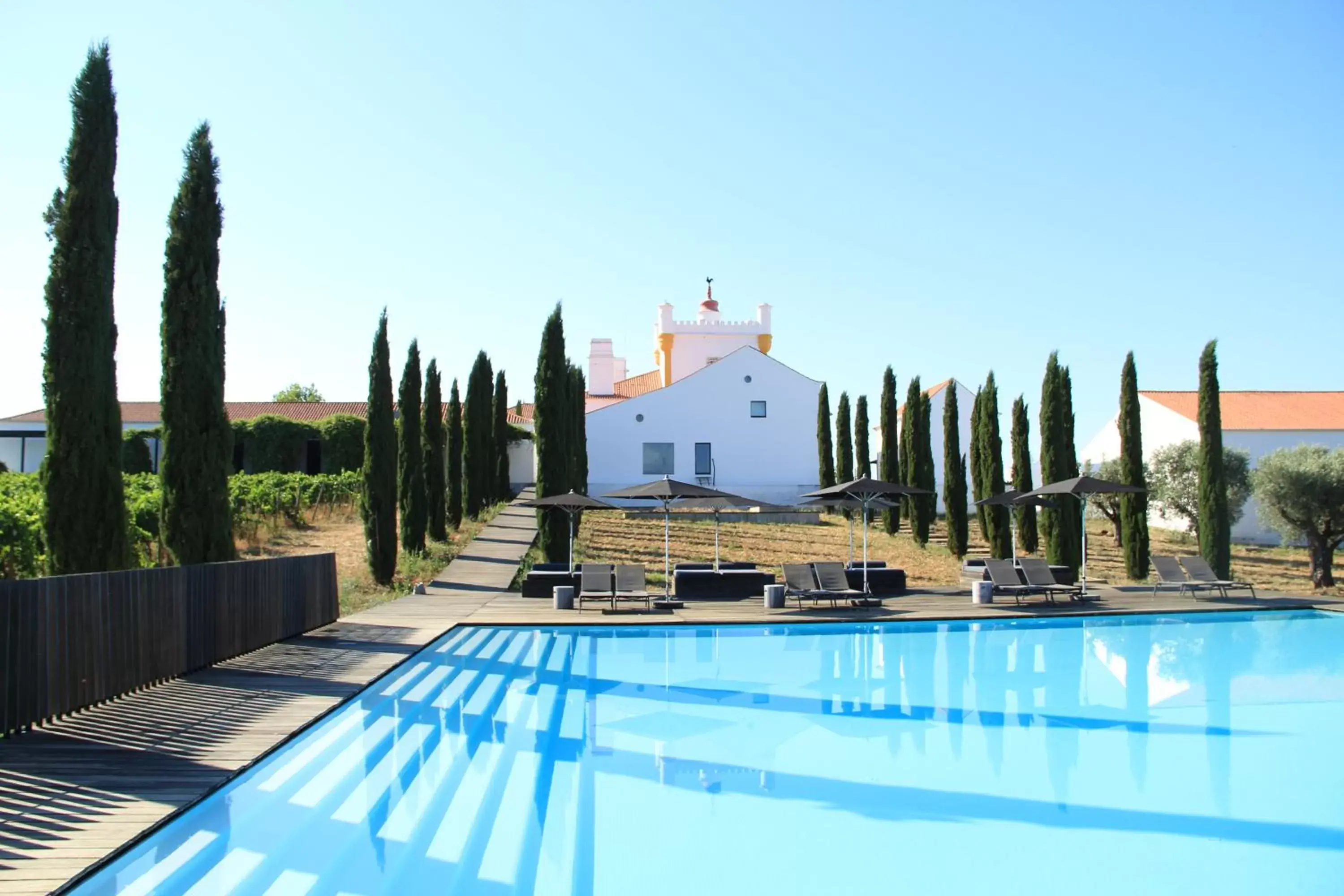 Pool view, Swimming Pool in Torre de Palma Wine Hotel - Design Hotels