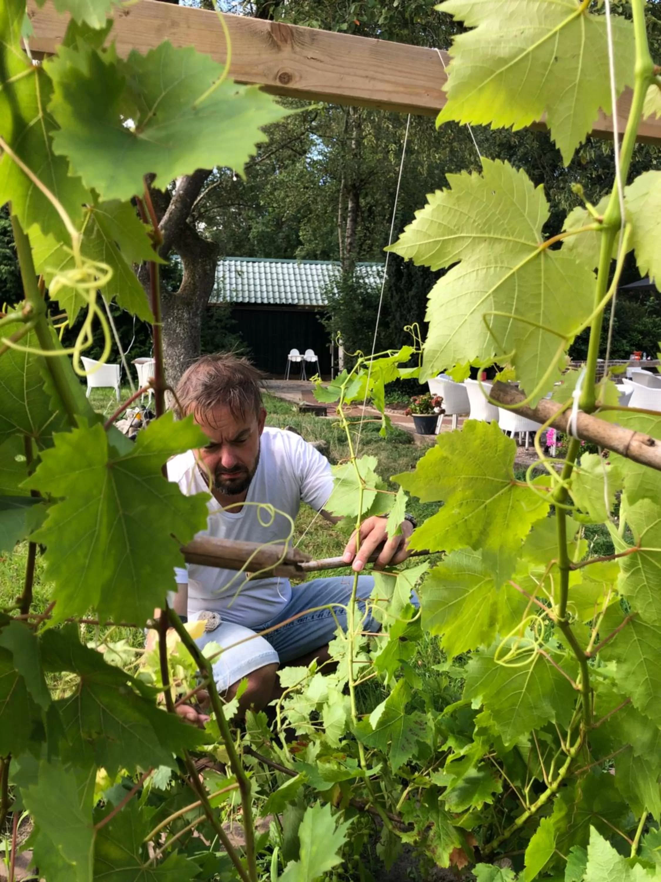 Children in Villa BlauwHemel Diever