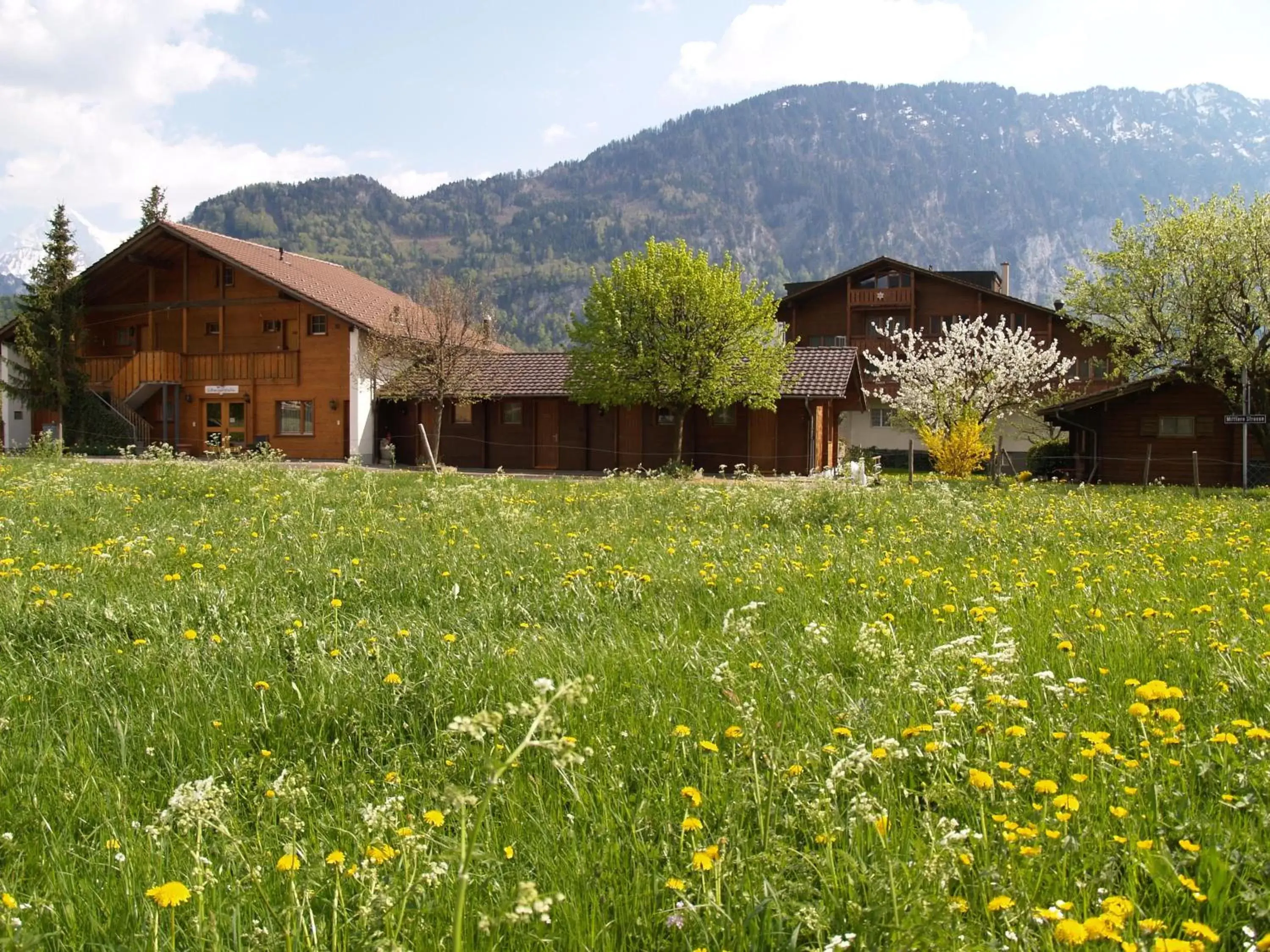 Double Room - single occupancy in Salzano Basic Rooms Interlaken Double Room - single occupancy in Salzano Basic Rooms Interlaken