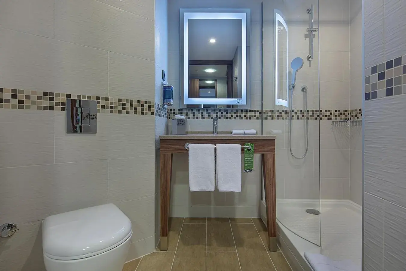 Toilet, Bathroom in Hampton by Hilton Istanbul Kayasehir