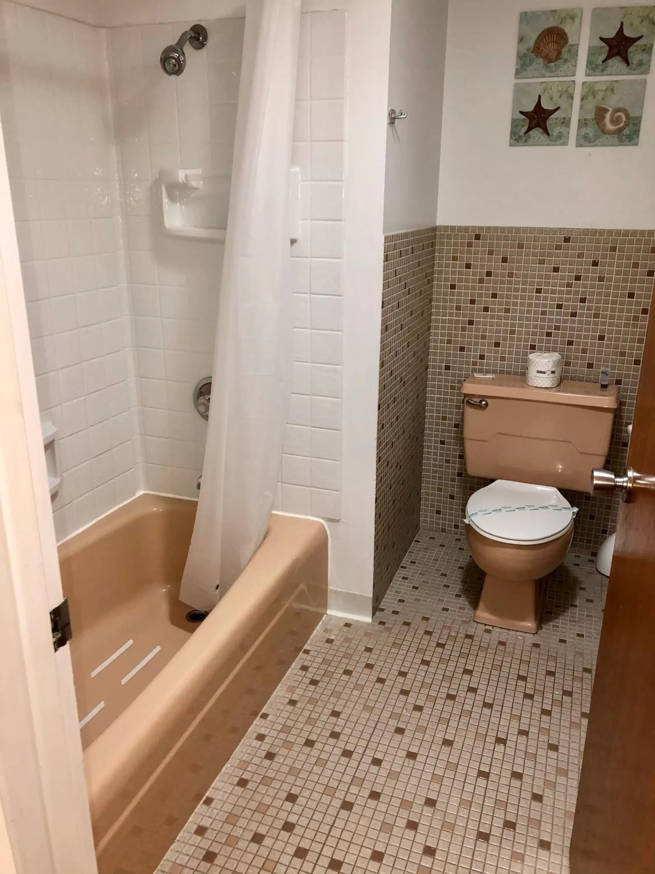 Bath, Bathroom in Budget Host Inn