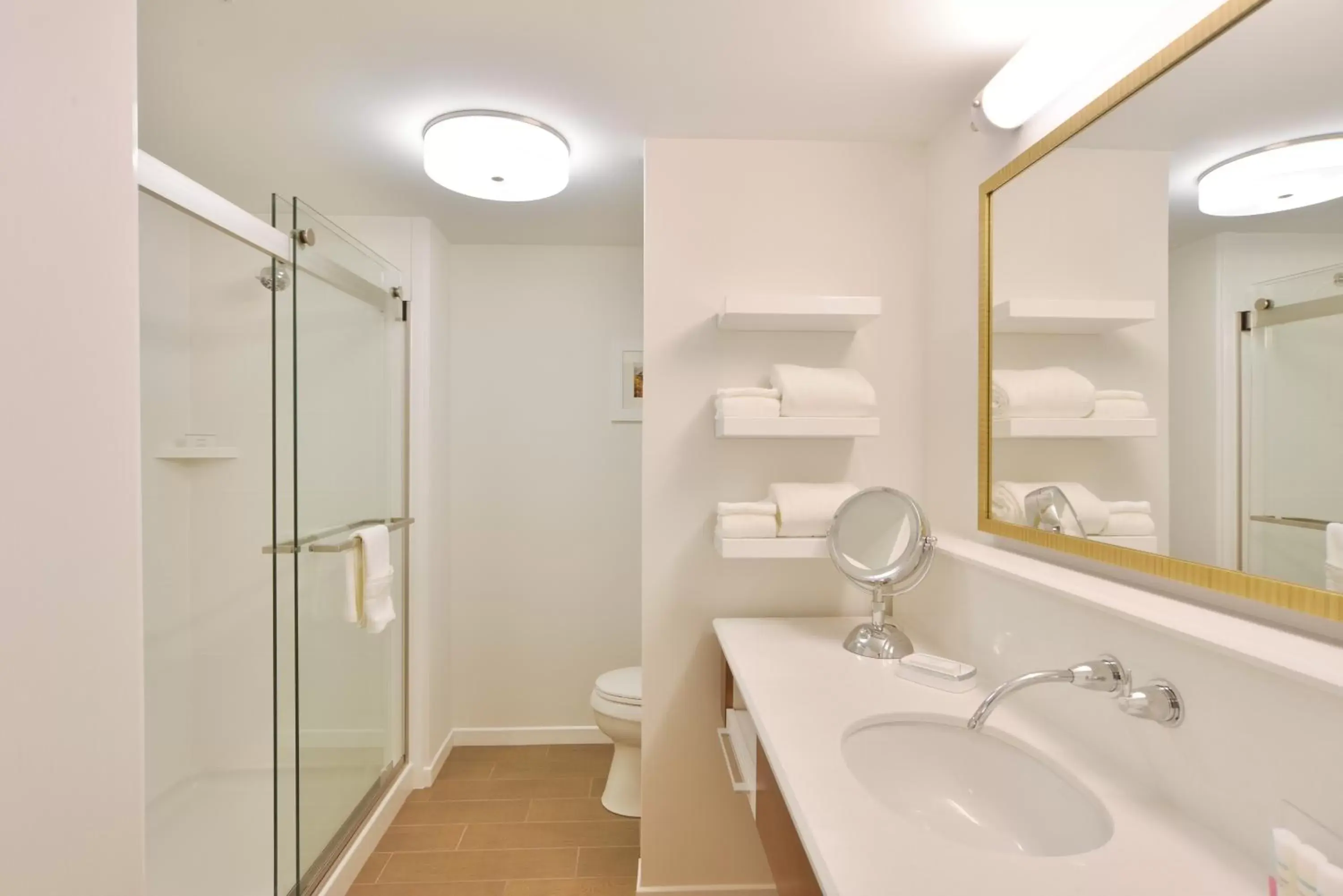 Bath, Bathroom in Hampton Inn & Suites Chippewa Falls