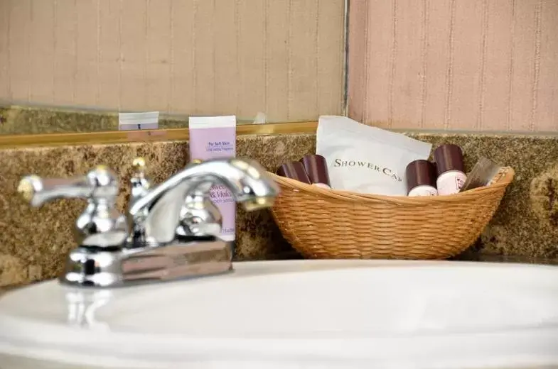 Bathroom in County Inn