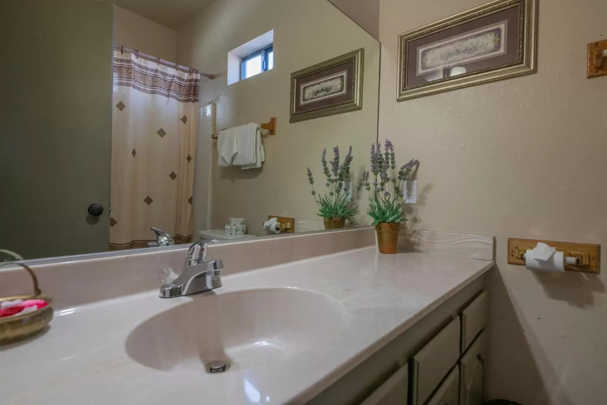 Bathroom in Black Forest Lodge