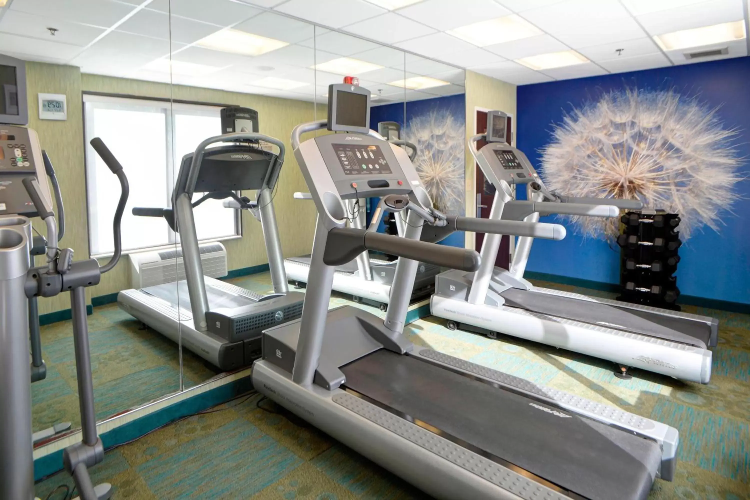 Fitness centre/facilities, Fitness Center/Facilities in SpringHill Suites Terre Haute