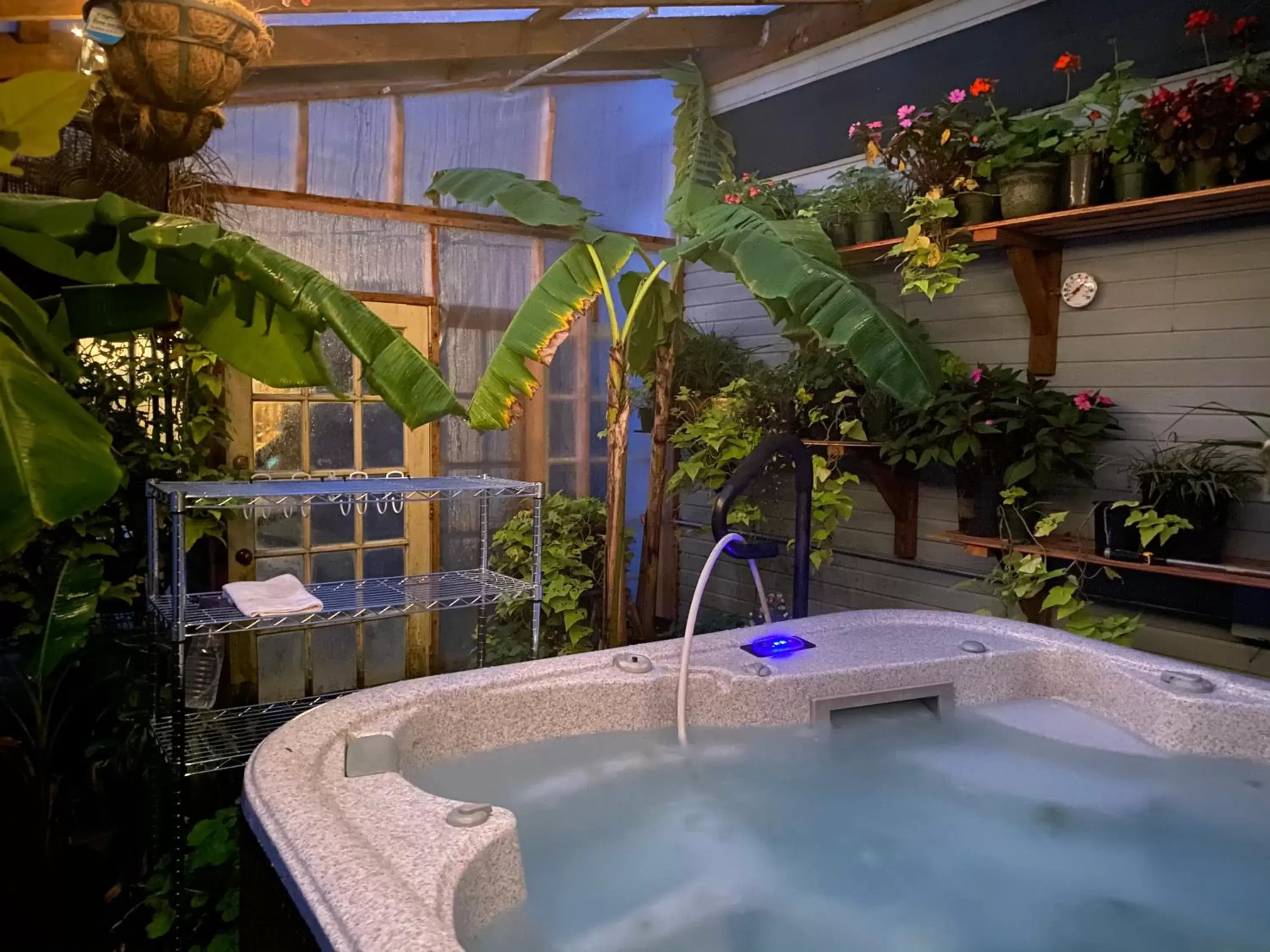 Hot Tub, Swimming Pool in The Monastery at Forest Lake