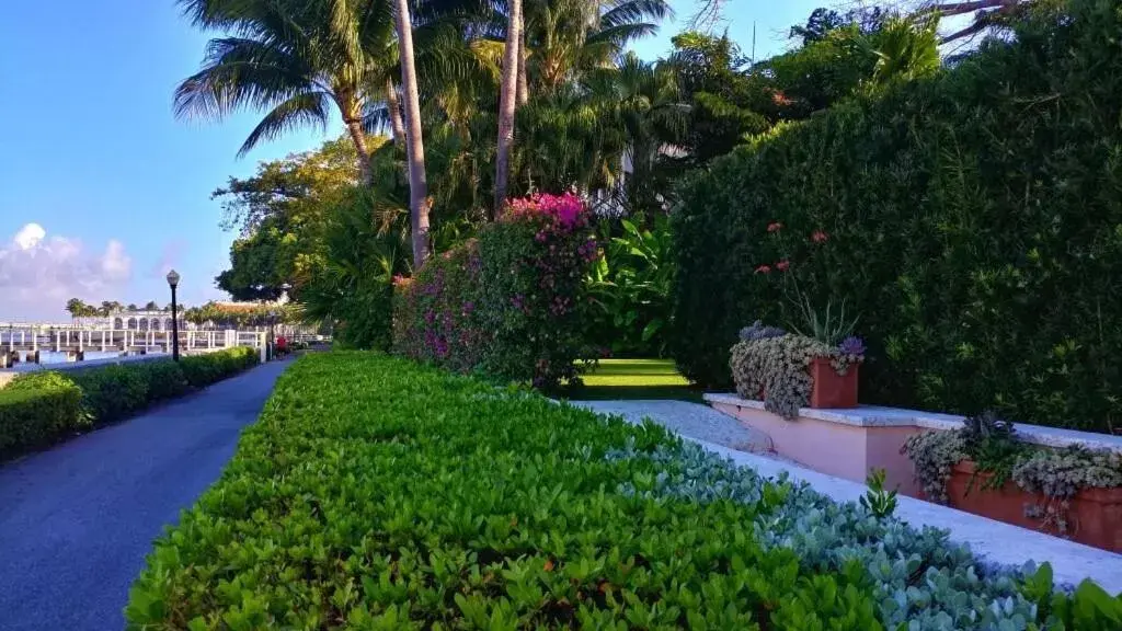 Neighbourhood, Swimming Pool in Hemingway Suites at Palm Beach Hotel Island