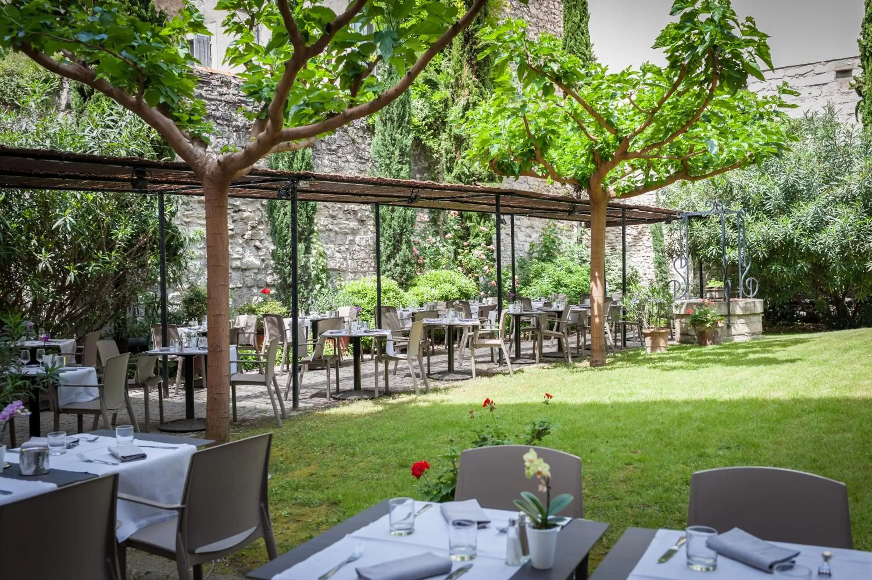 Garden, Restaurant/Places to Eat in Hôtel Cloitre Saint Louis Avignon