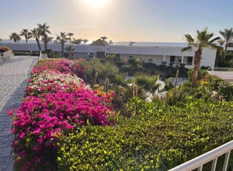 Natural landscape in Monte Carlo Sharm Resort & Spa