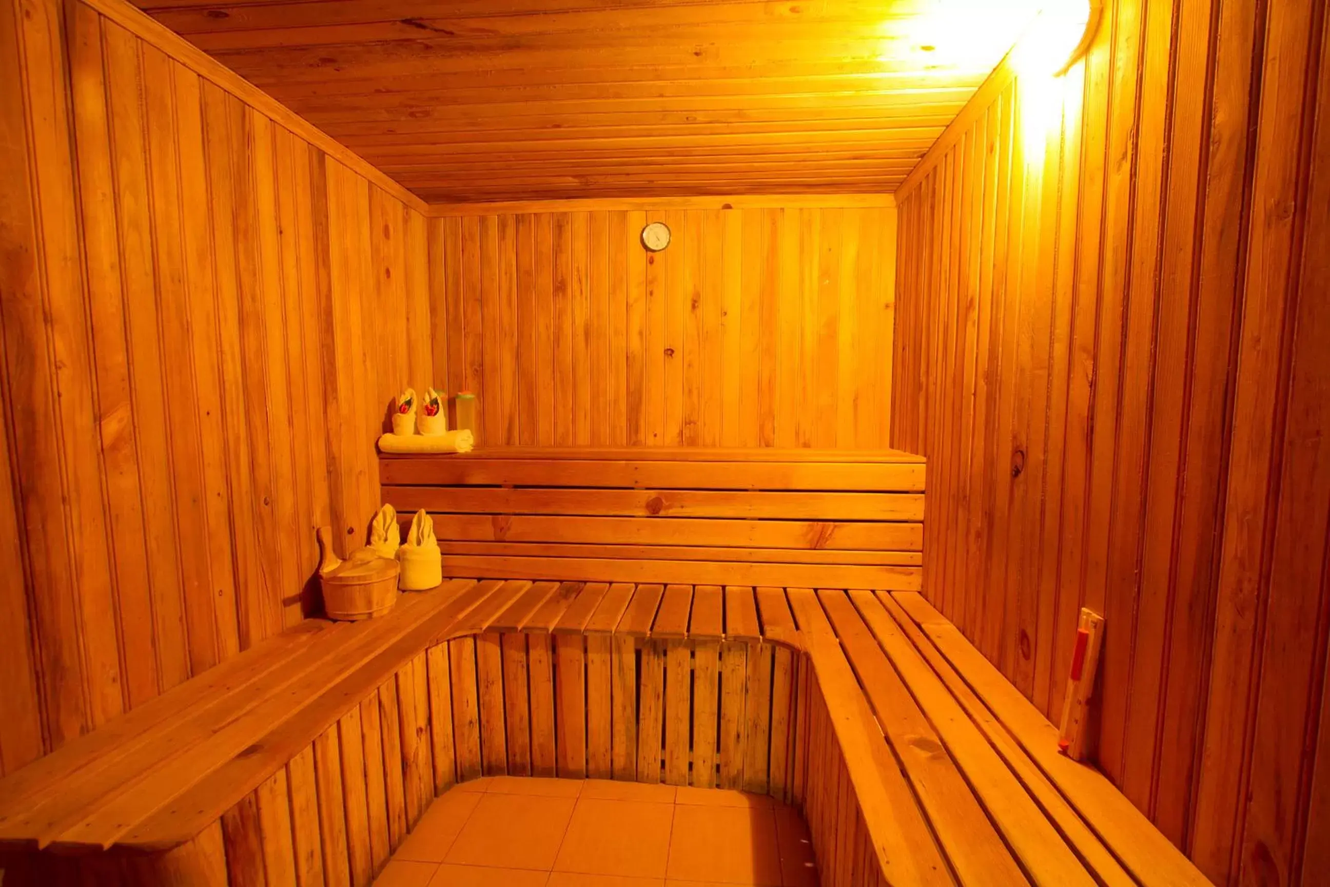 Spa and wellness centre/facilities in Temple Tree Resort & Spa