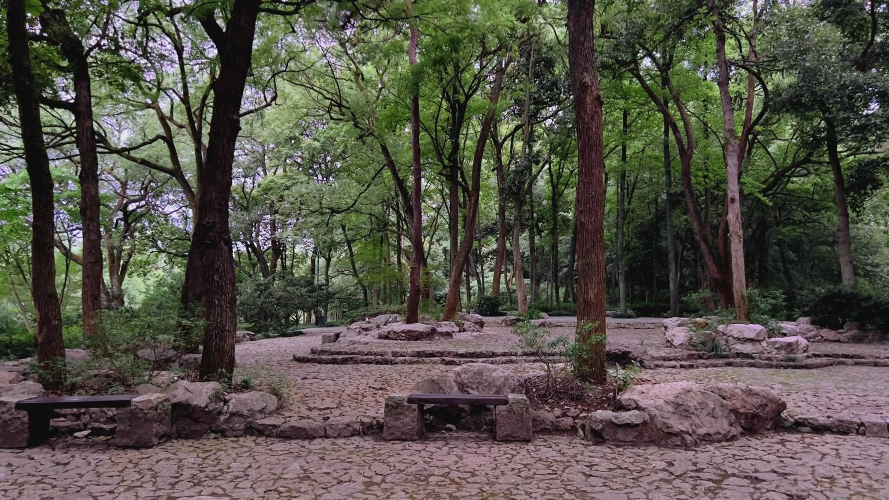 Natural landscape in Rock&Wood Cozy House