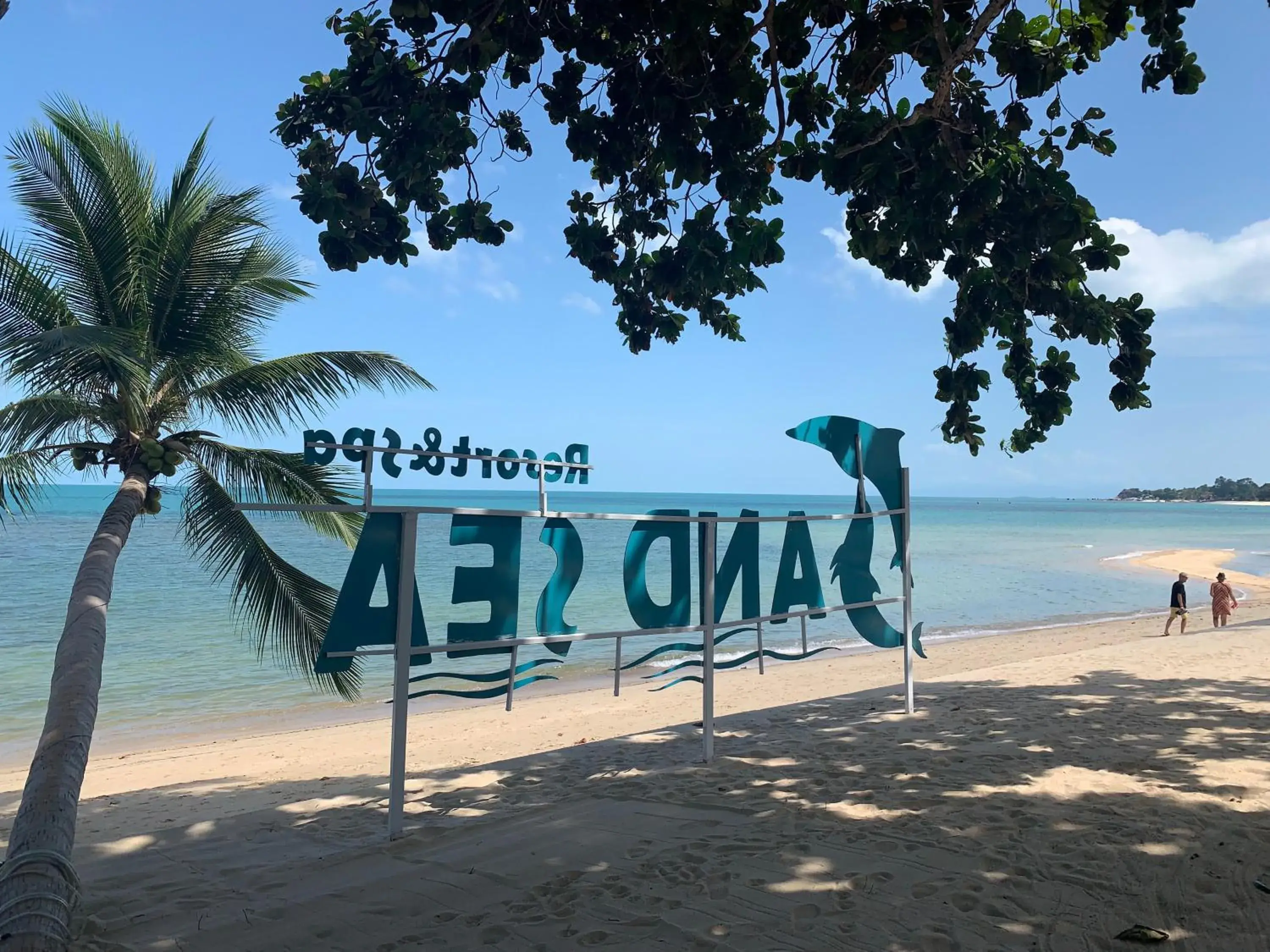 Sea view, Beach in Sand Sea Resort & Spa - Lamai Beach , Koh Samui