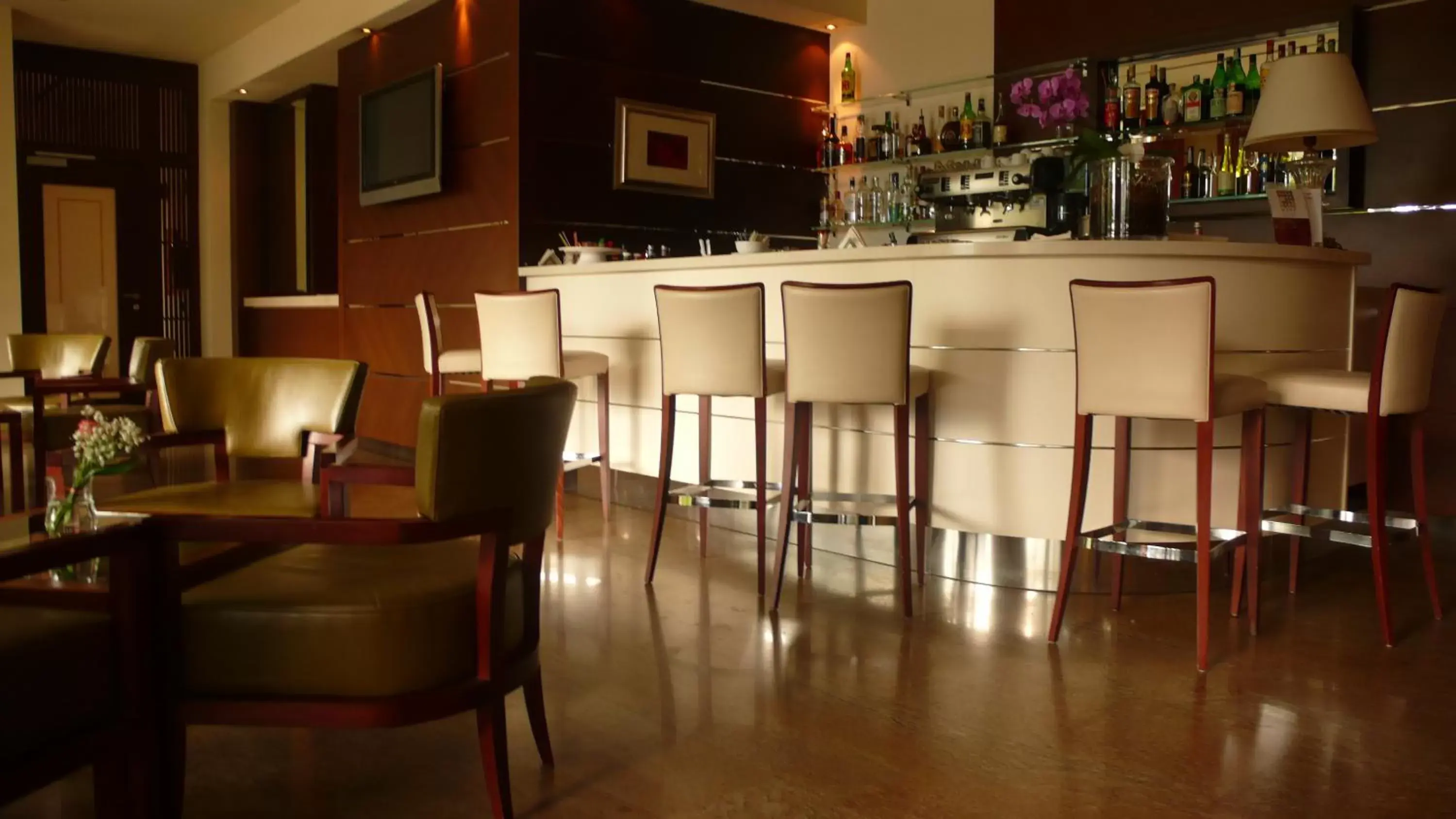 Area and facilities, Lounge/Bar in Hotel Griso Collection