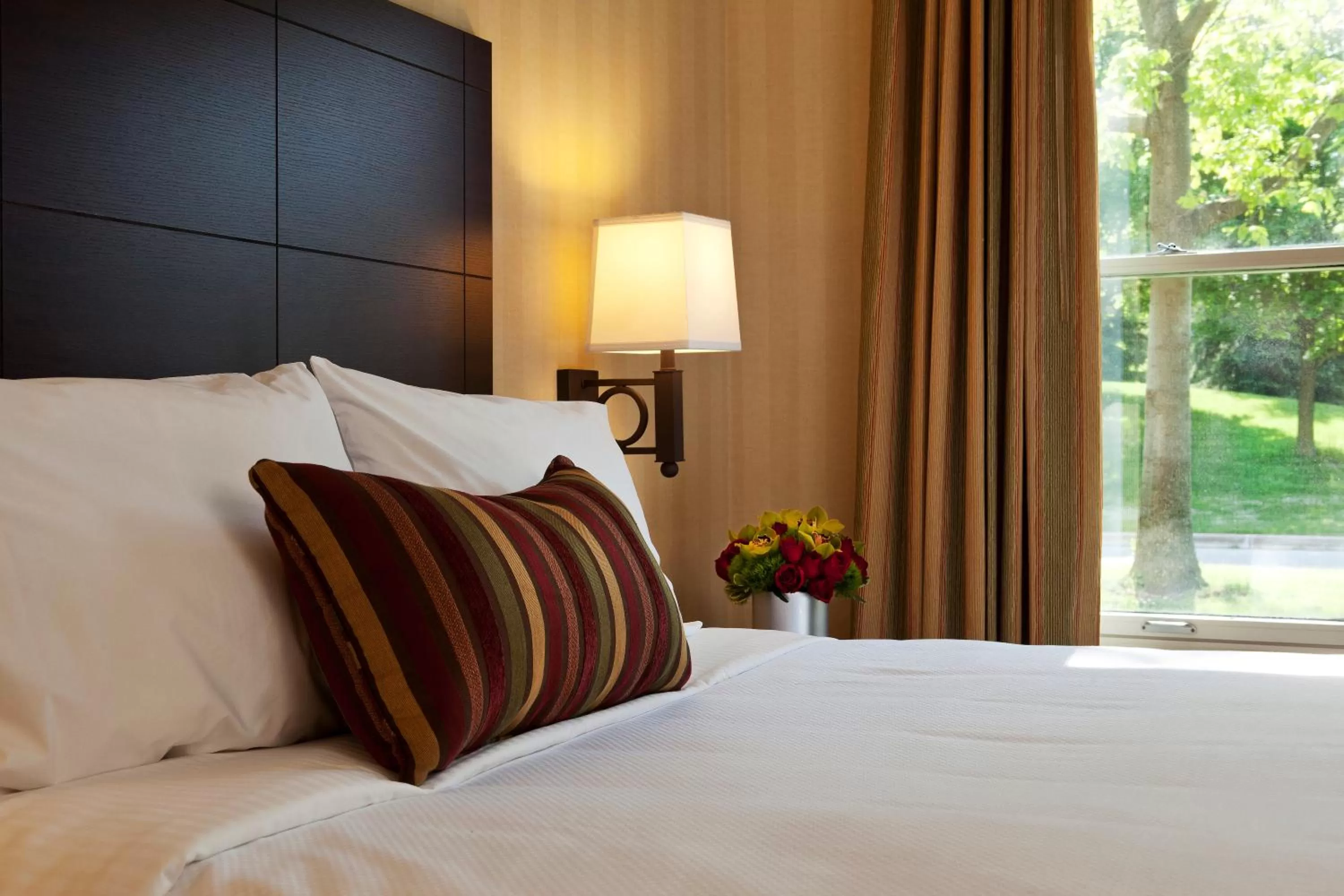 Bed in Ivey Spencer Leadership Centre