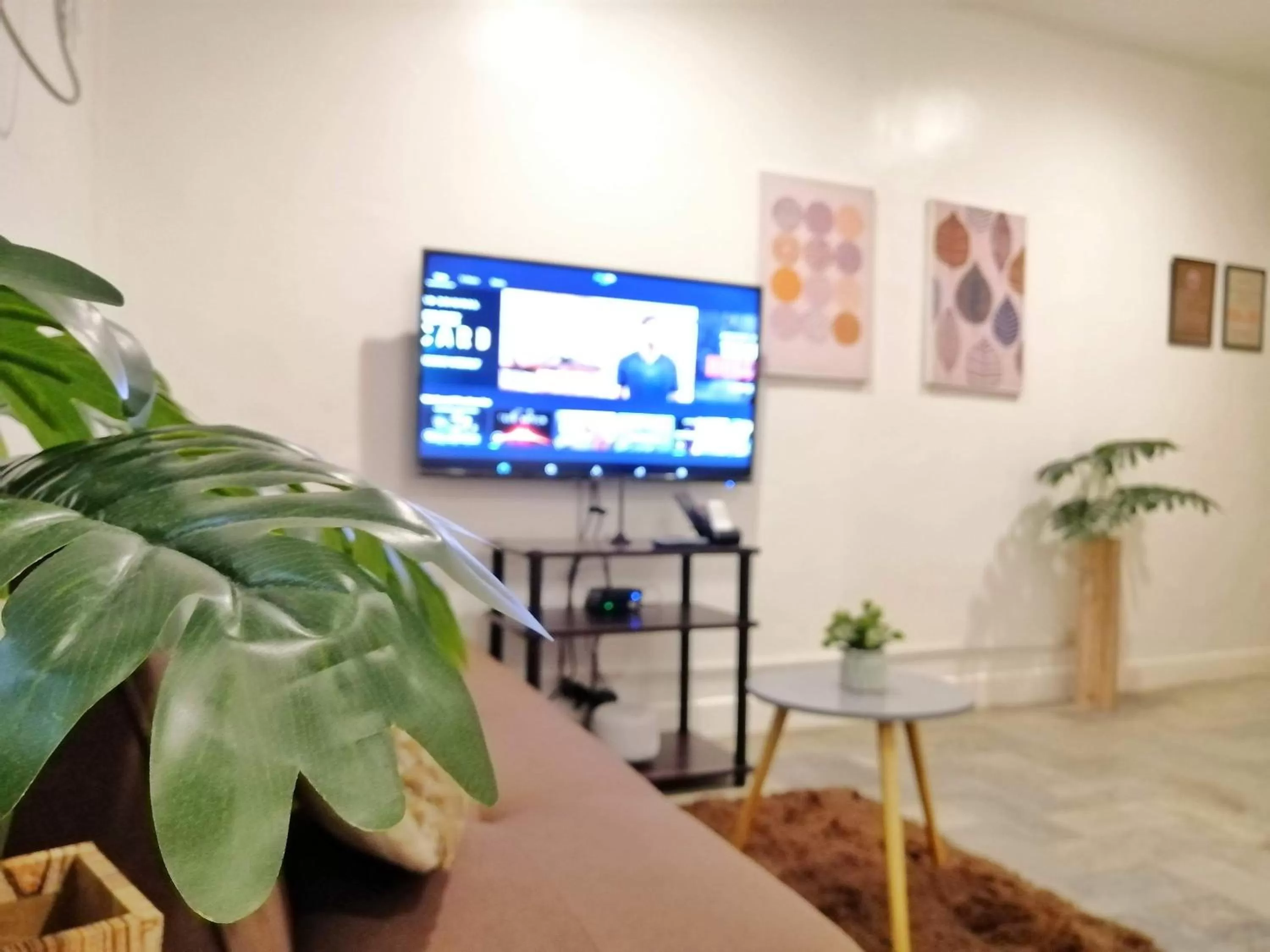 TV and multimedia in VG Pension and Residences