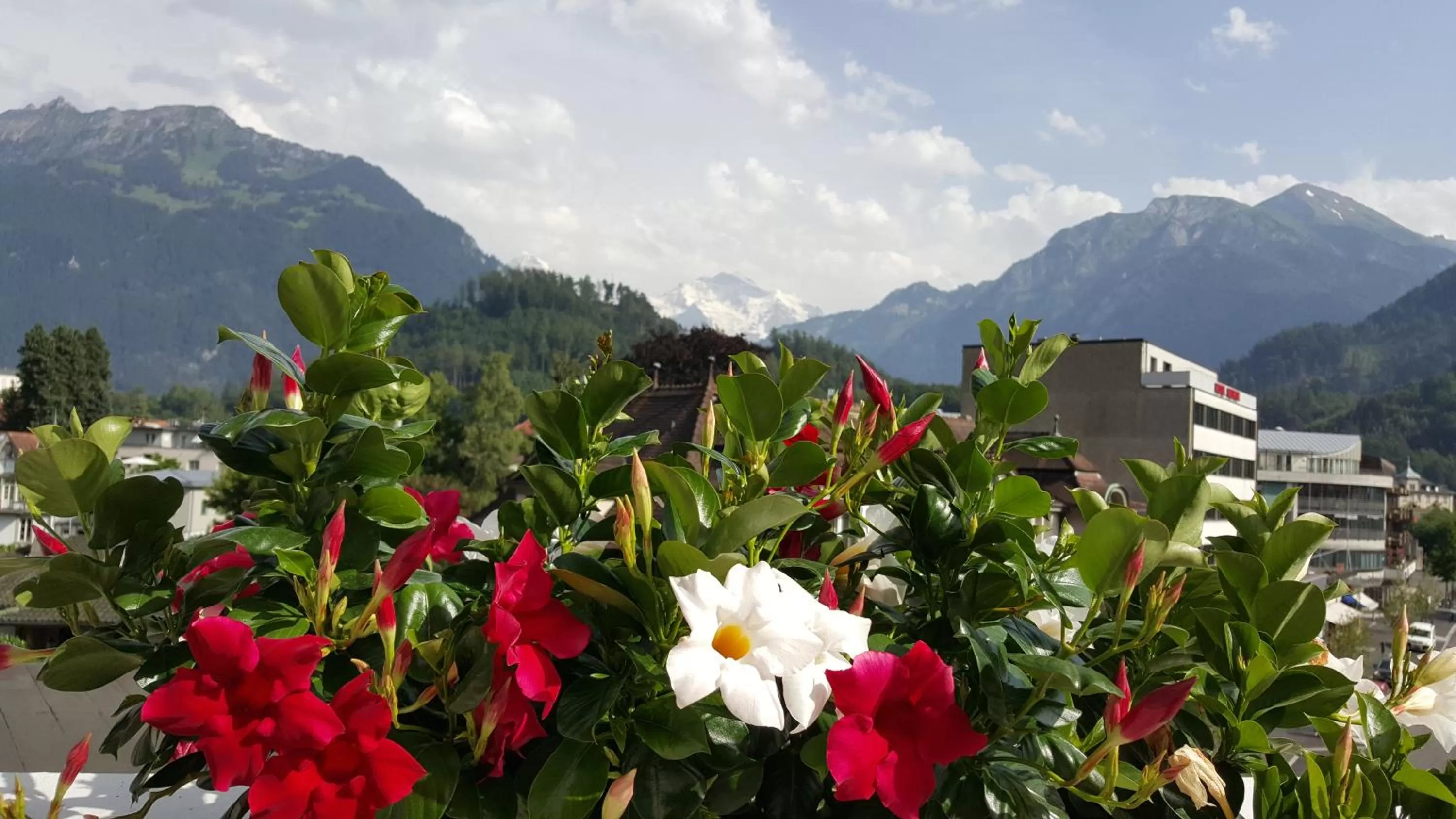 Decorative detail in Hotel Bernerhof