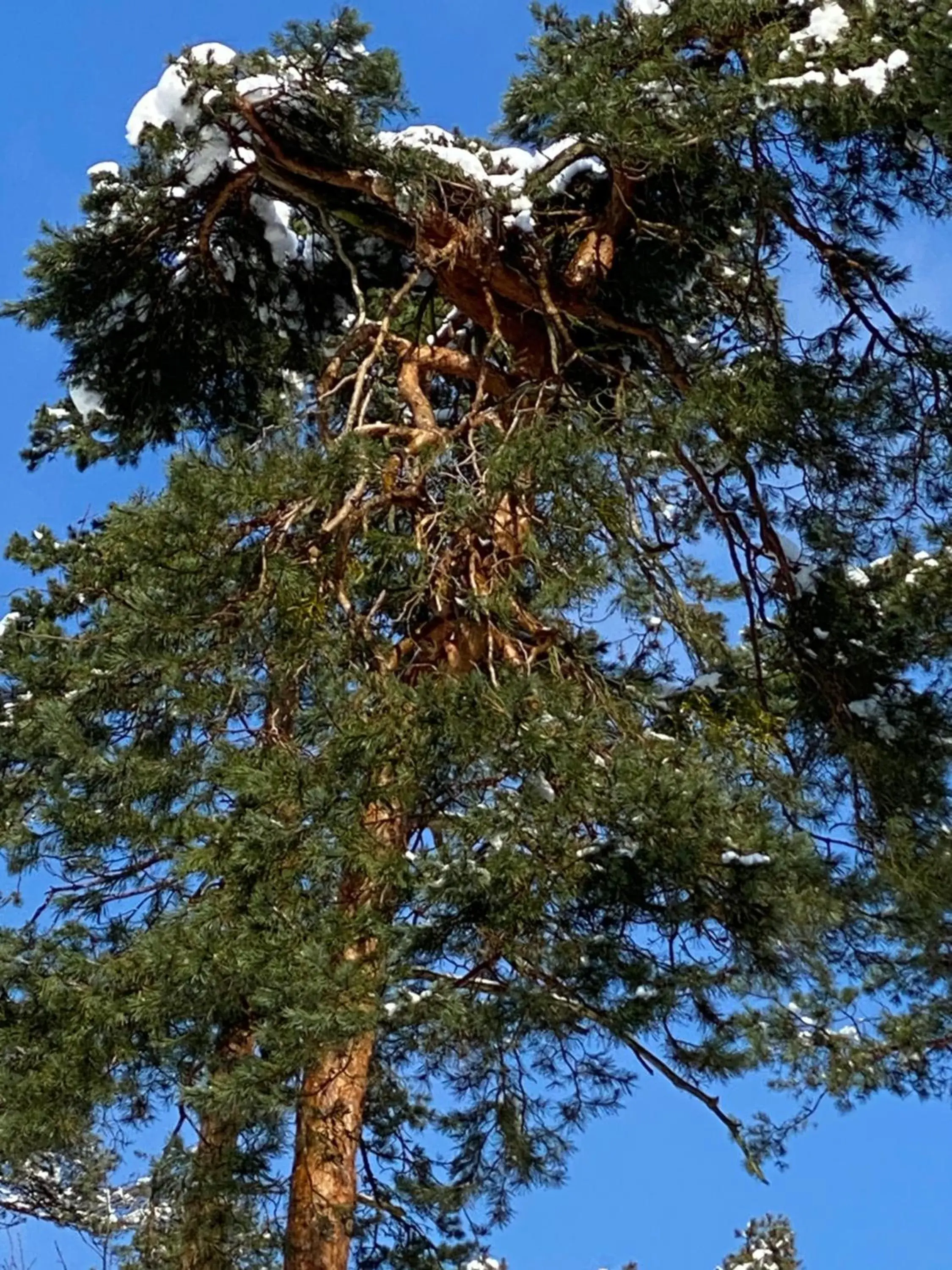 Natural landscape in Parkhotel Zirndorf