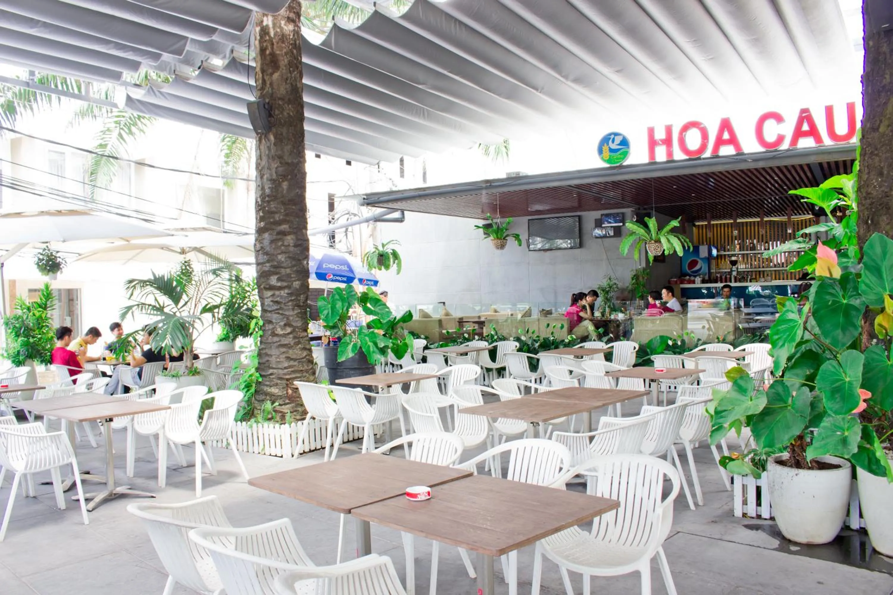 Restaurant/places to eat in International Hotel