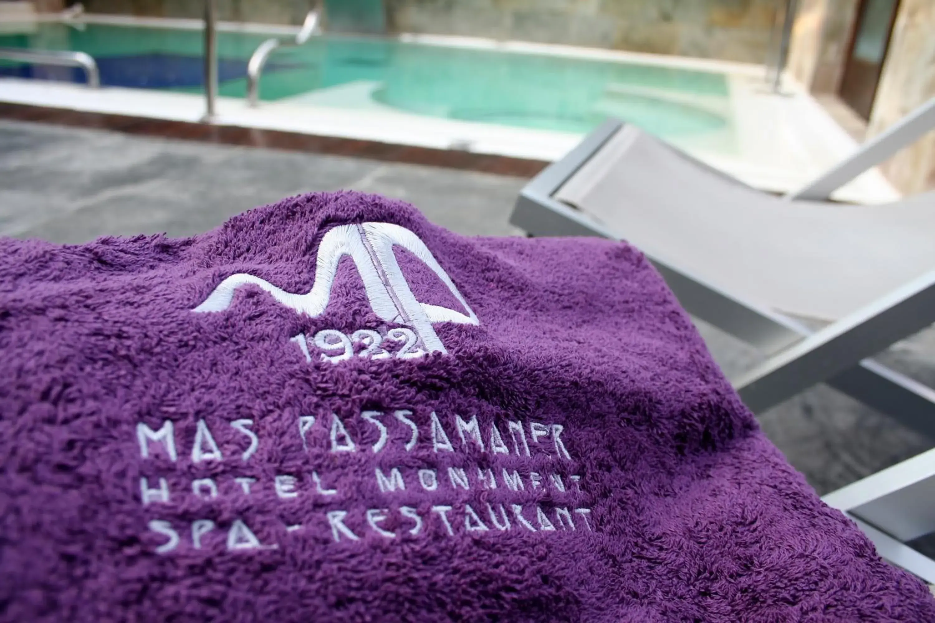 Swimming Pool in Hotel Monument Mas Passamaner