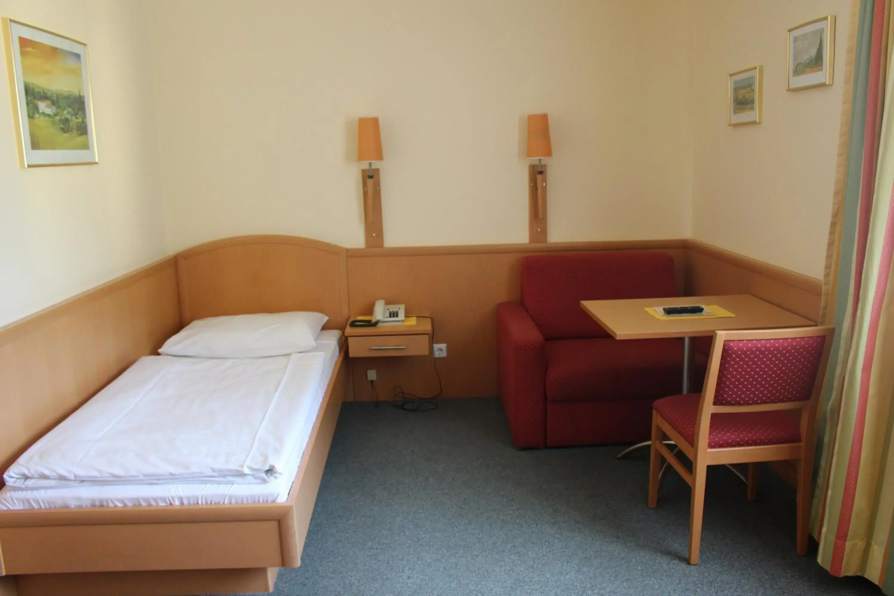 Single Room in Hotel Ganslhof
