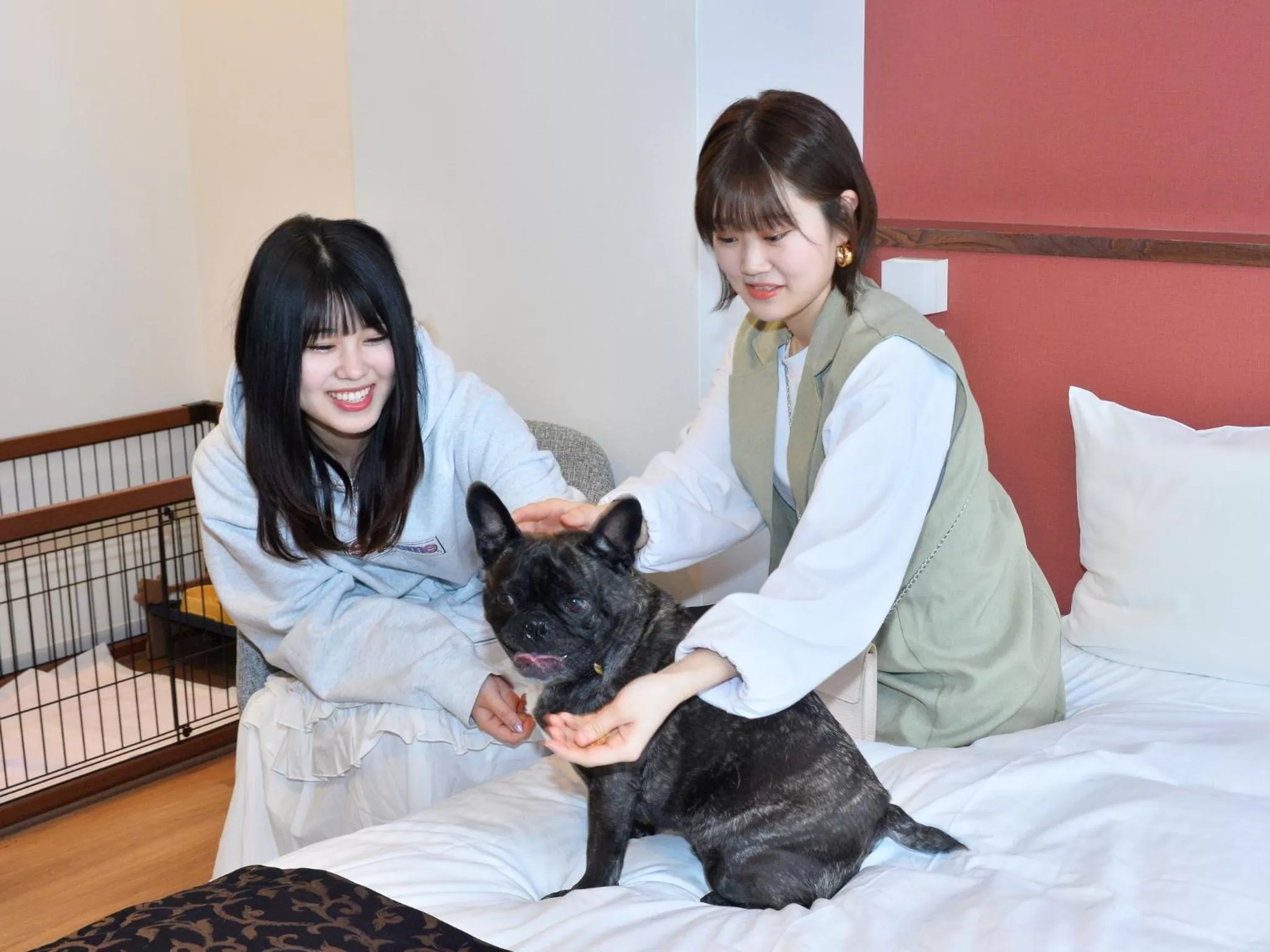 Pets in LC Goryokaku Hotel