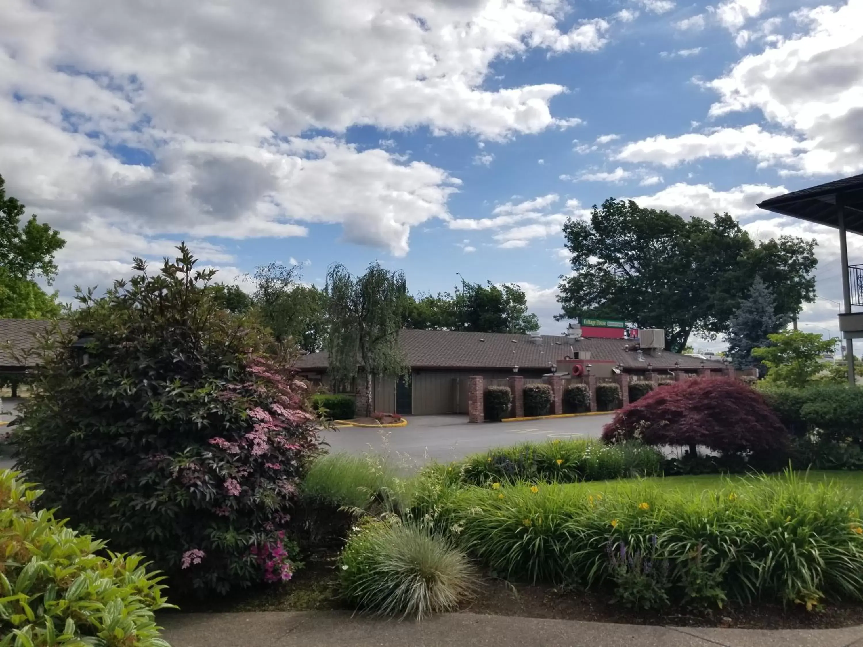 Garden, Property Building in Village Inn