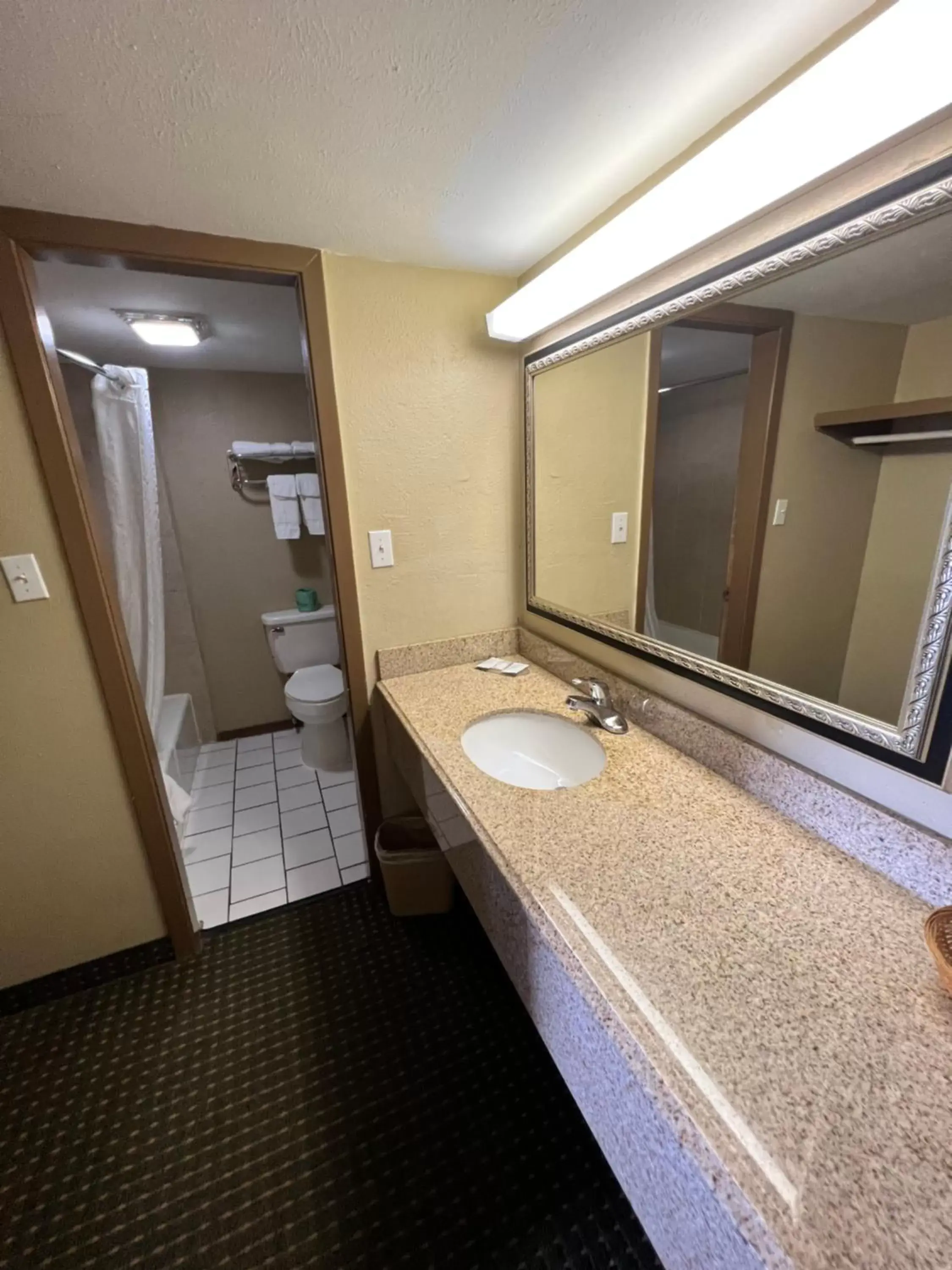 Bathroom in Continental Inn and Suites