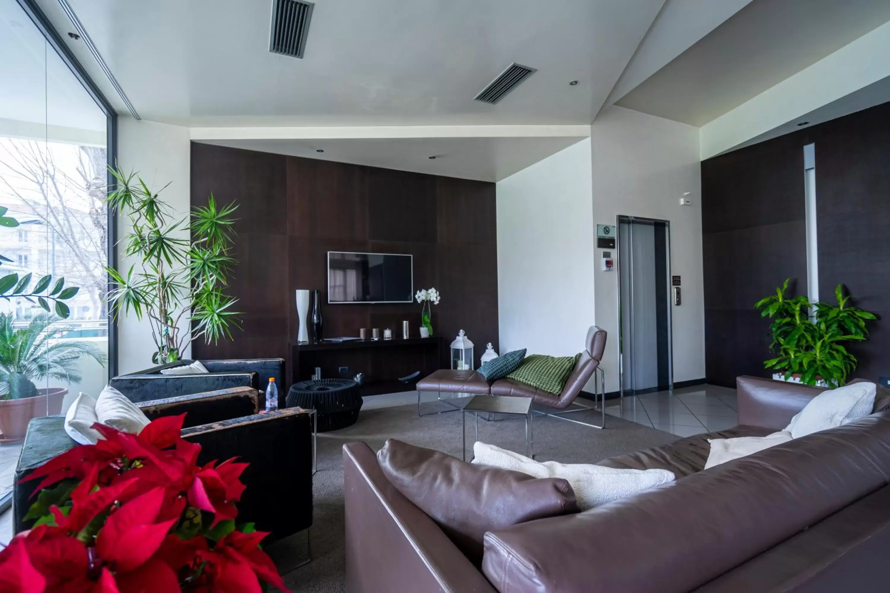 Communal lounge/ TV room, Seating Area in Hotel Bianca Vela