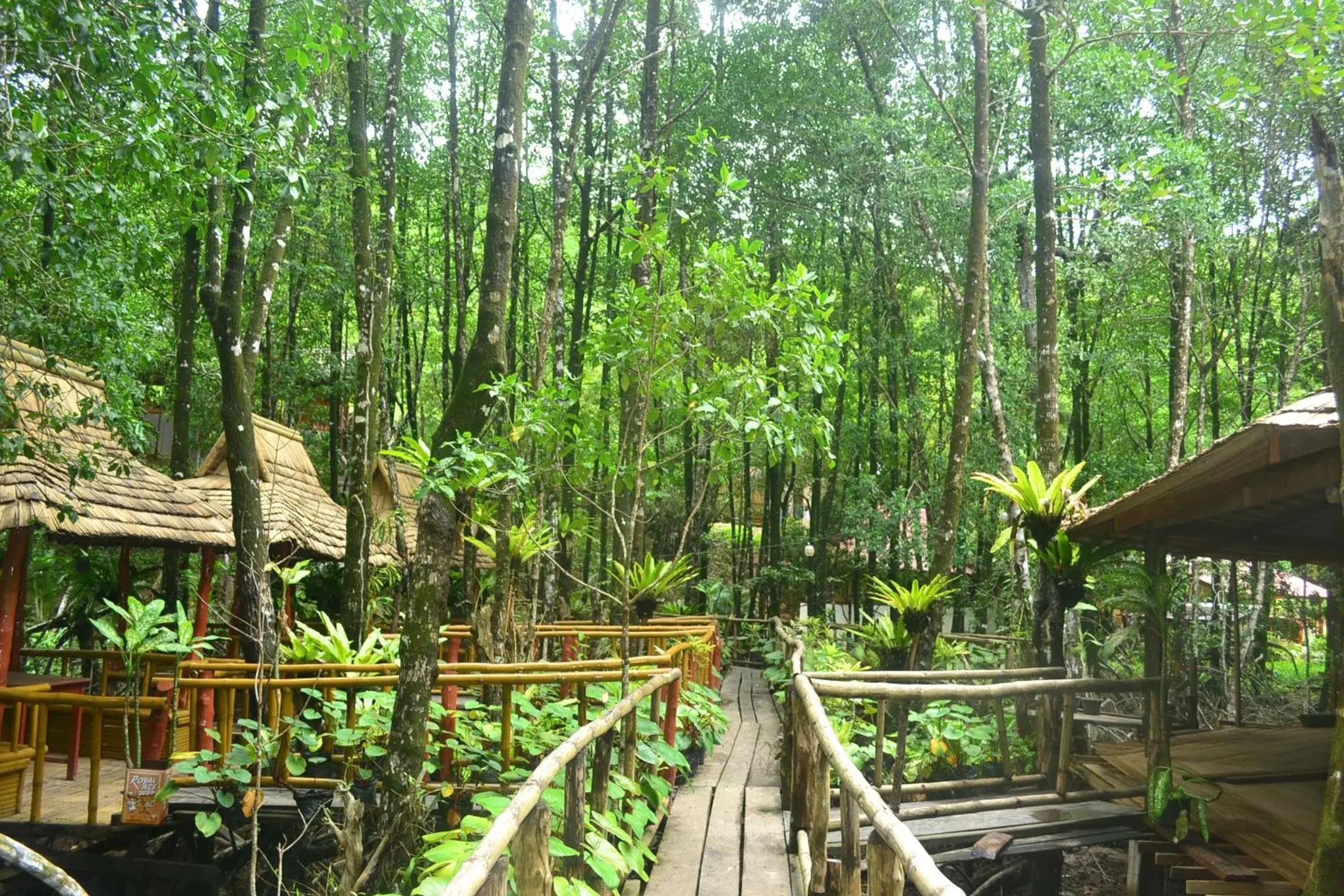 Natural landscape, Balcony/Terrace in Villa Israel Ecopark El Nido