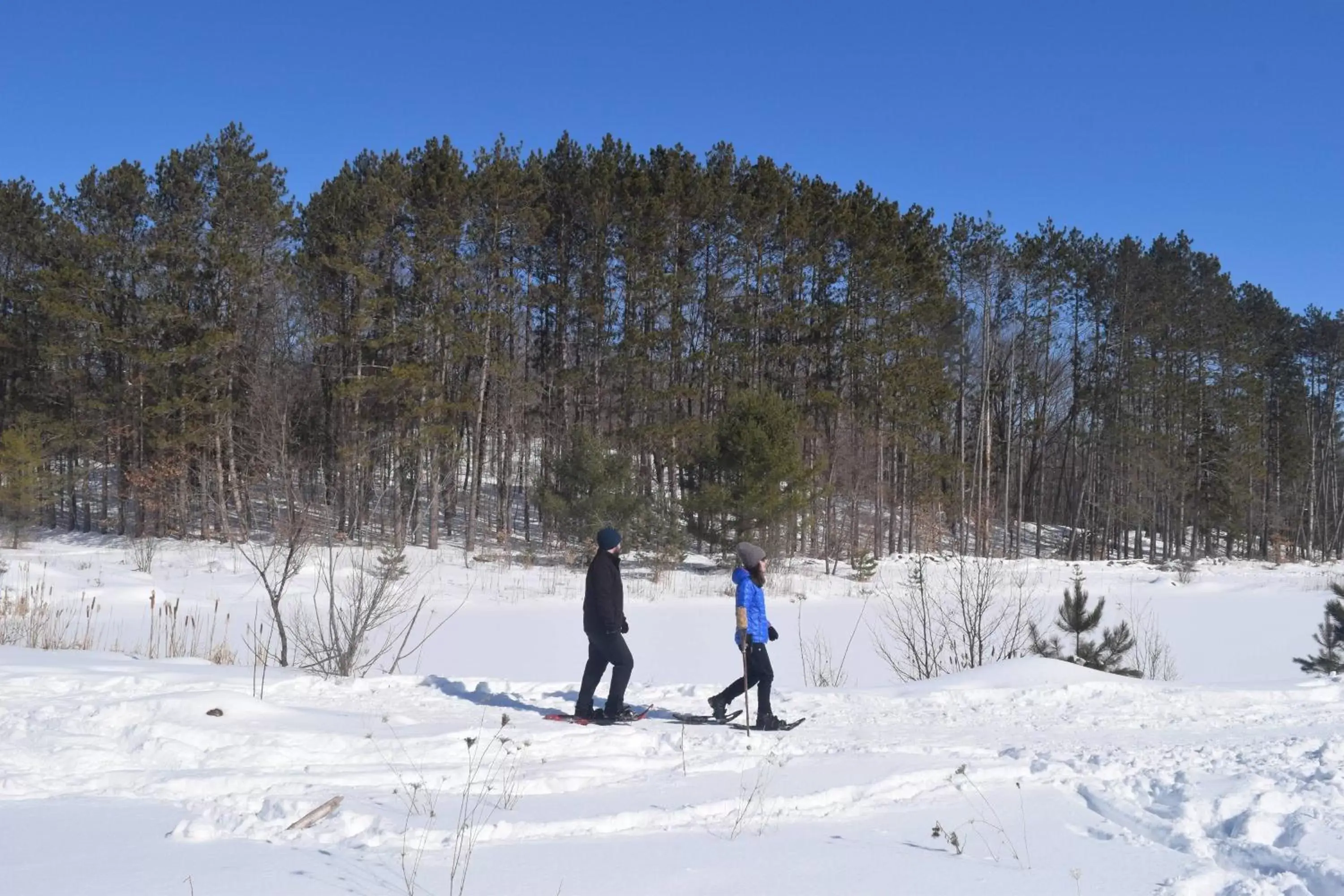 Other, Skiing in JW Marriott The Rosseau Muskoka Resort & Spa