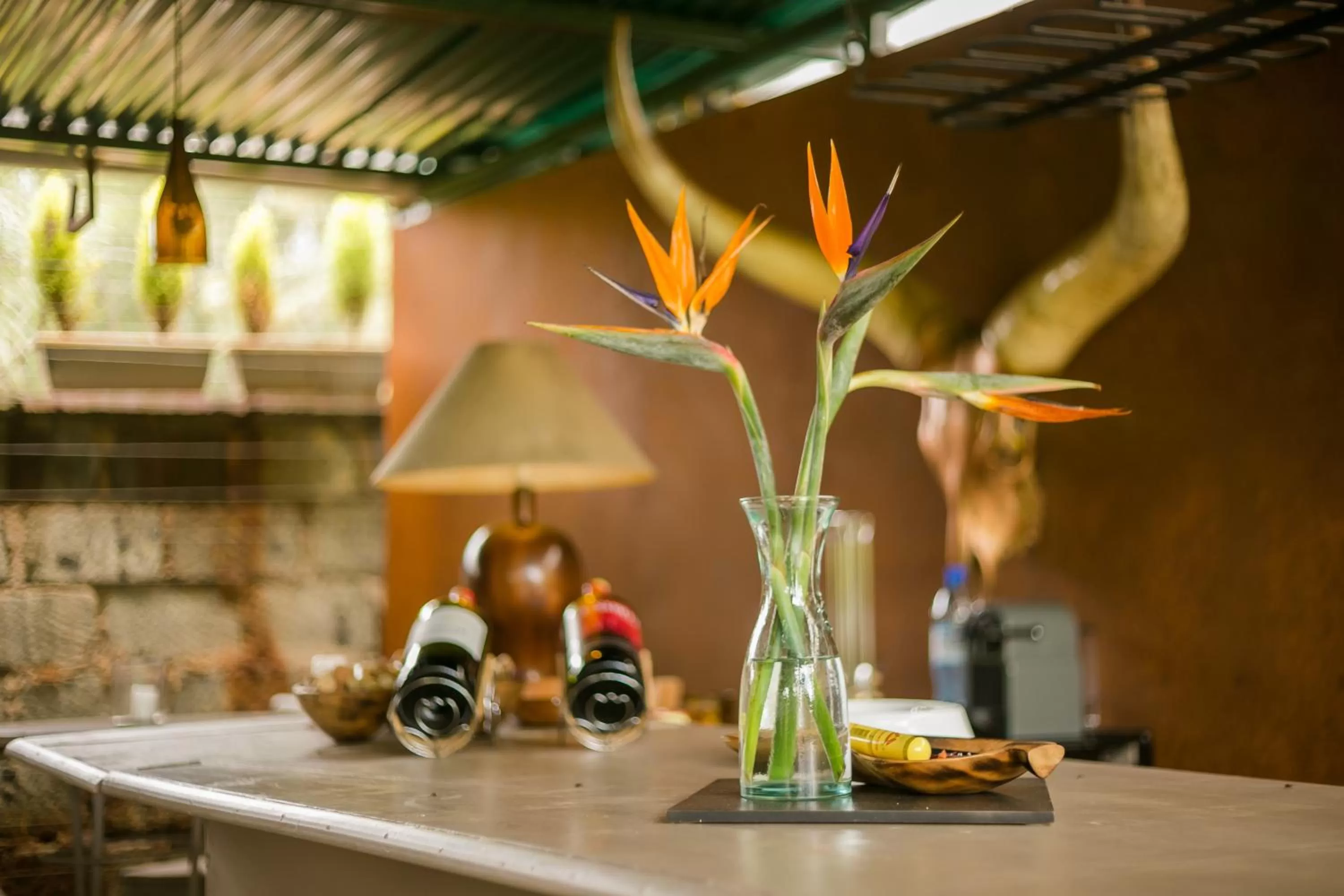 Lounge or bar in Hotel Rudi