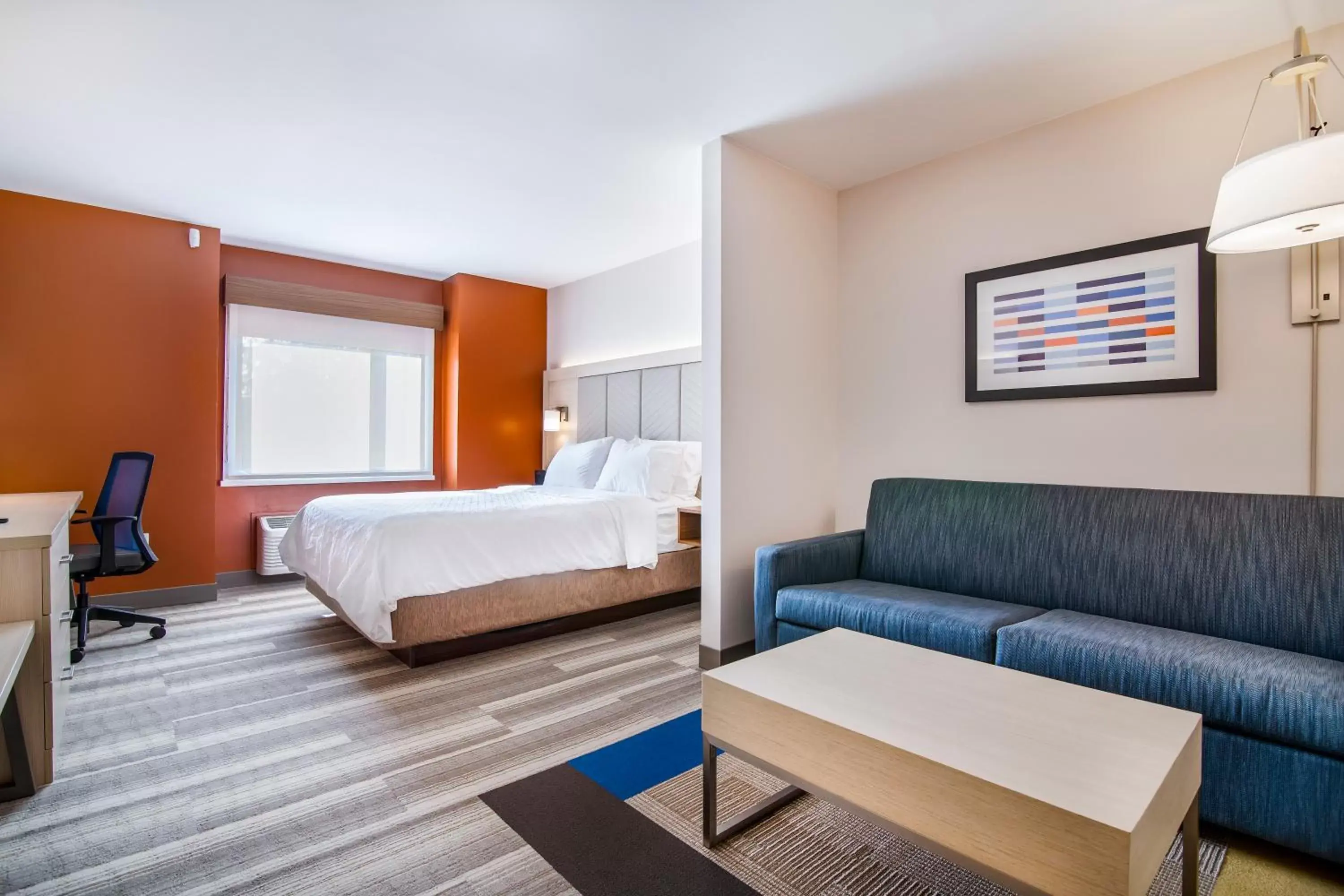 Photo of the whole room, Room Photo in Holiday Inn Express & Suites Langley, an IHG Hotel