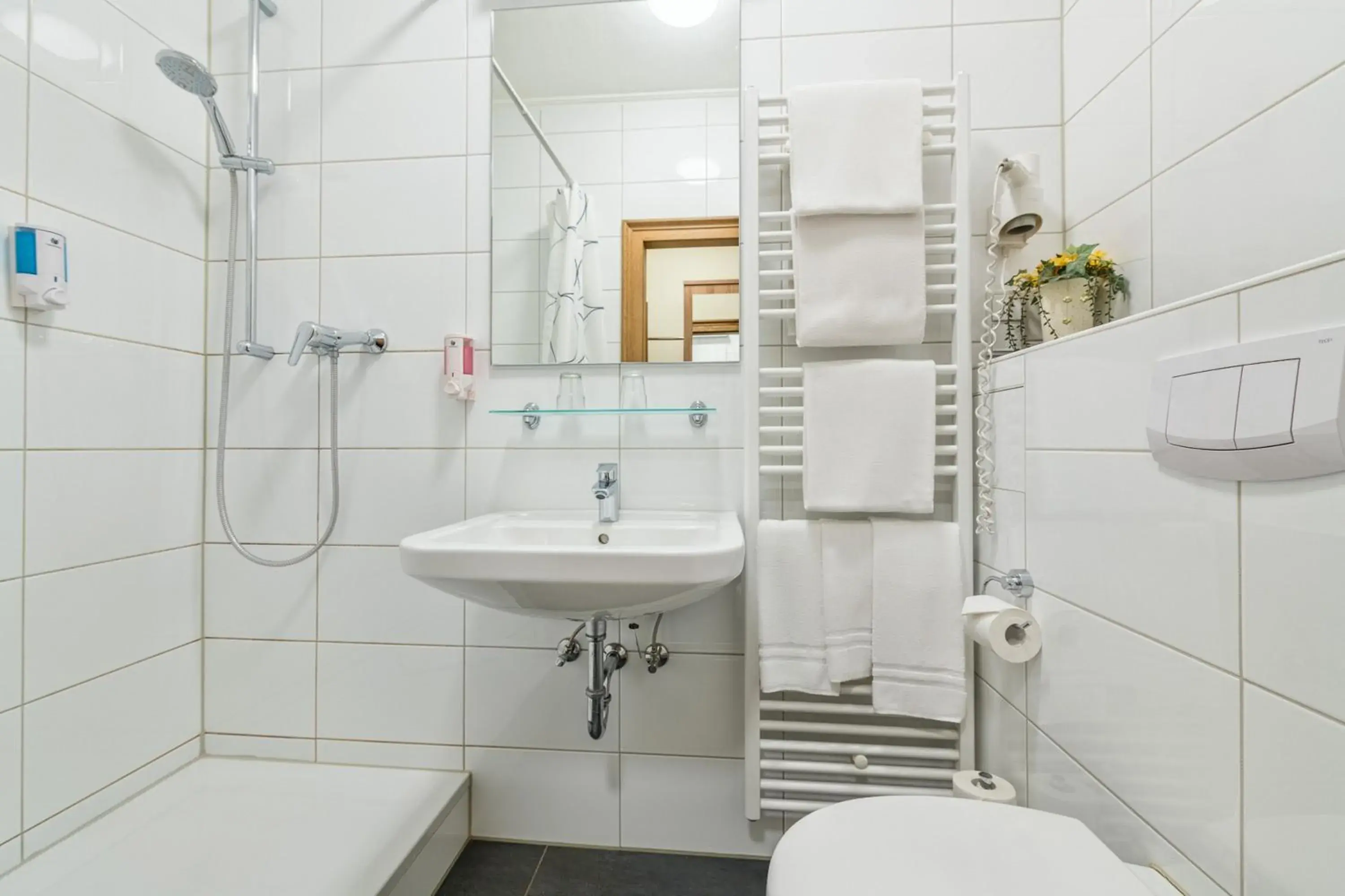 Bathroom in Hotel Windsor