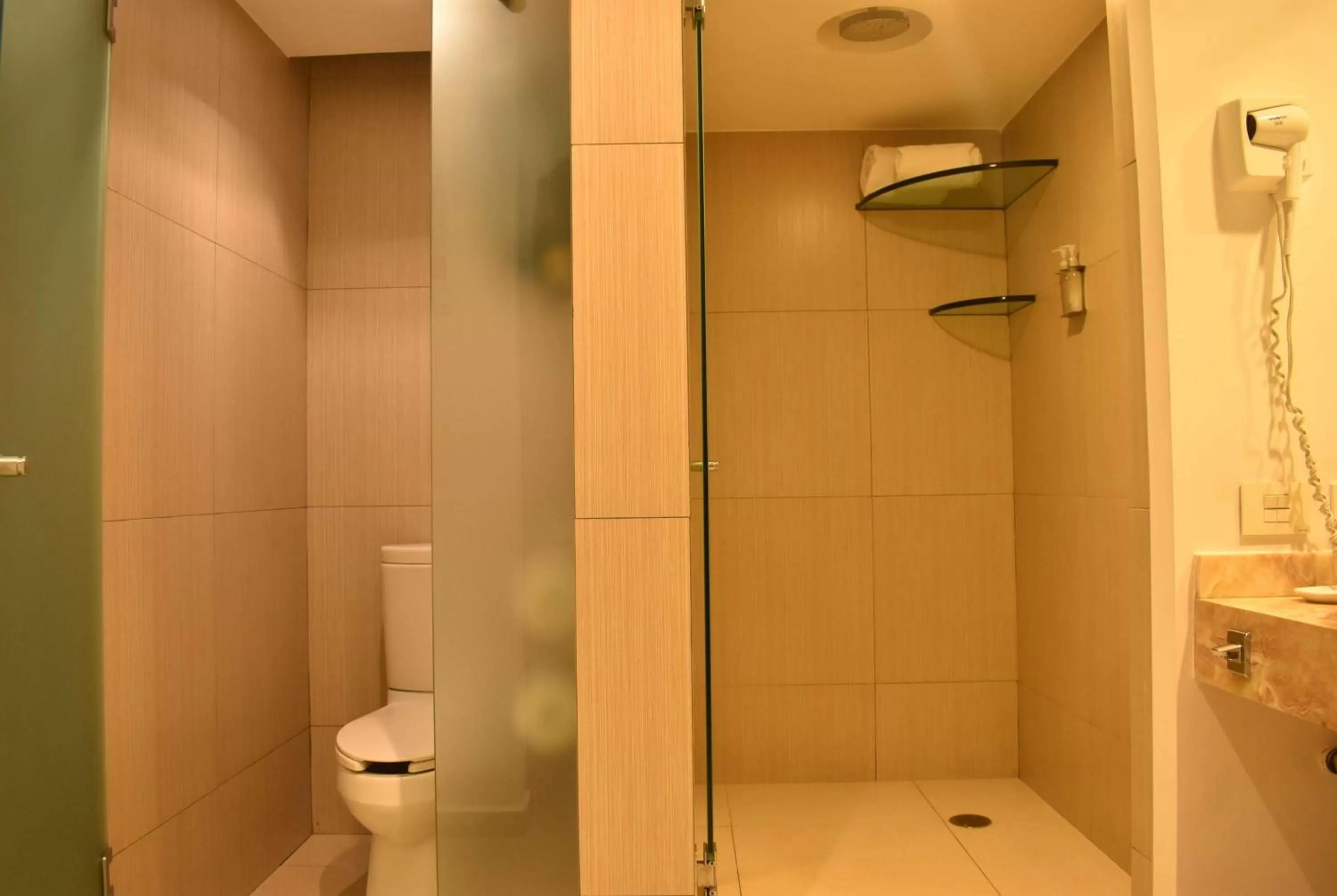 TV and multimedia in Ramada by Wyndham Mexico City Santa Fe