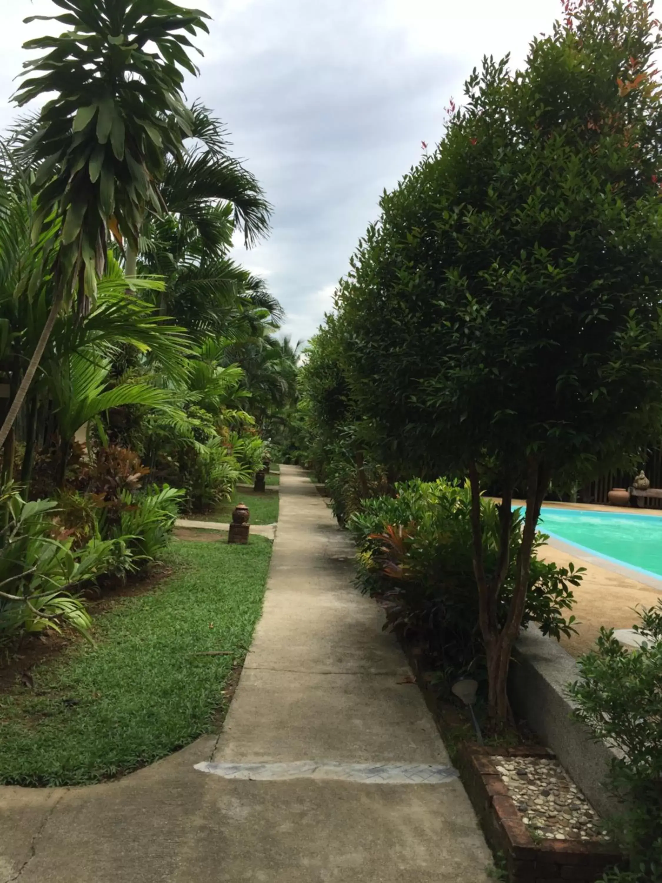 Time of day, Swimming Pool in Vipa Tropical Resort