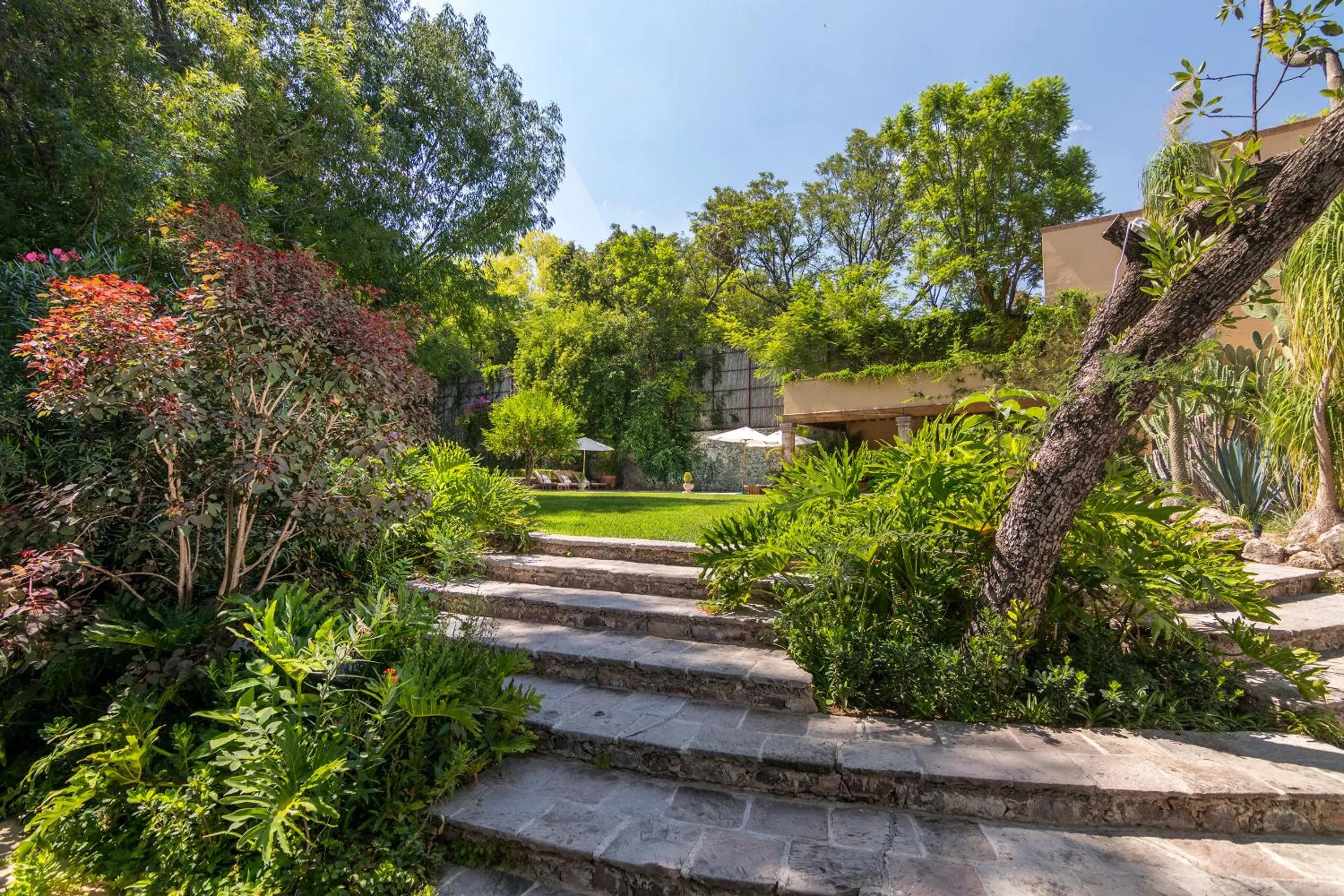 Spring in Villa Santa Mónica