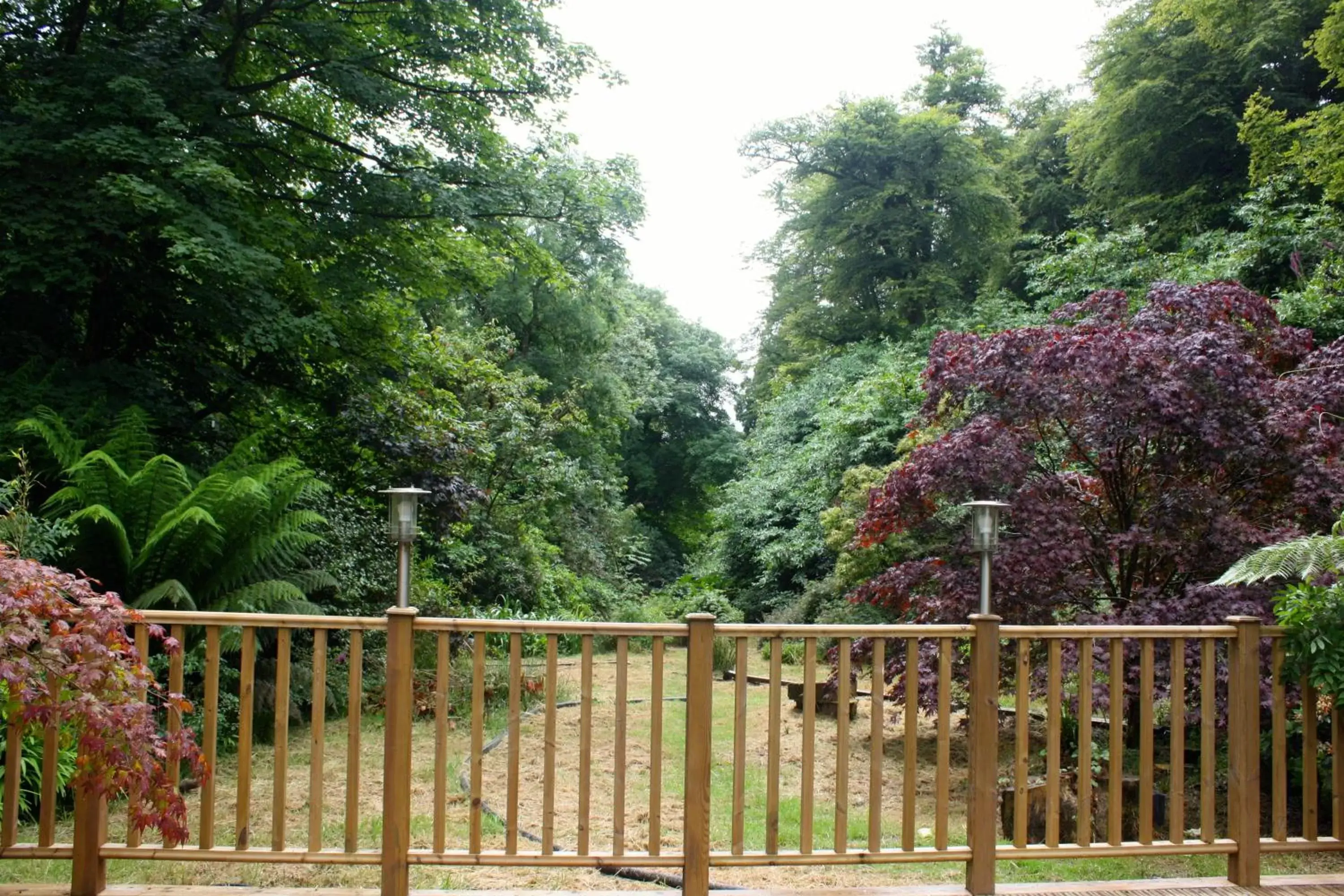 Garden, Balcony/Terrace in The Waterwheel