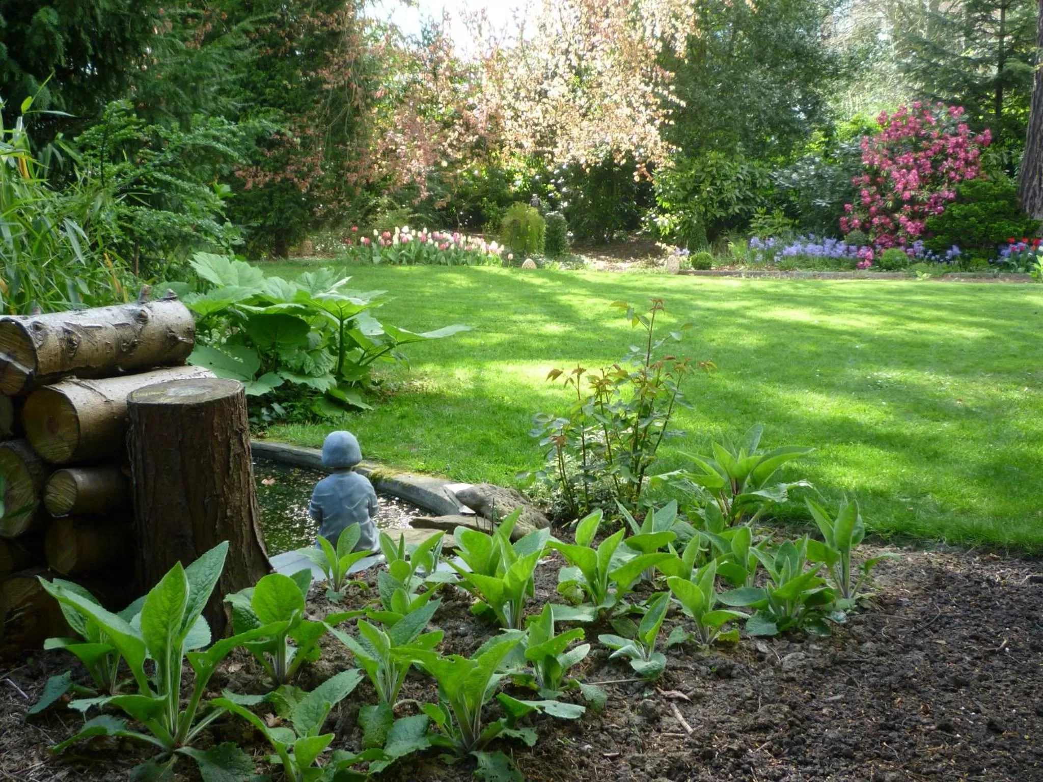 Garden in au vieux cèdre