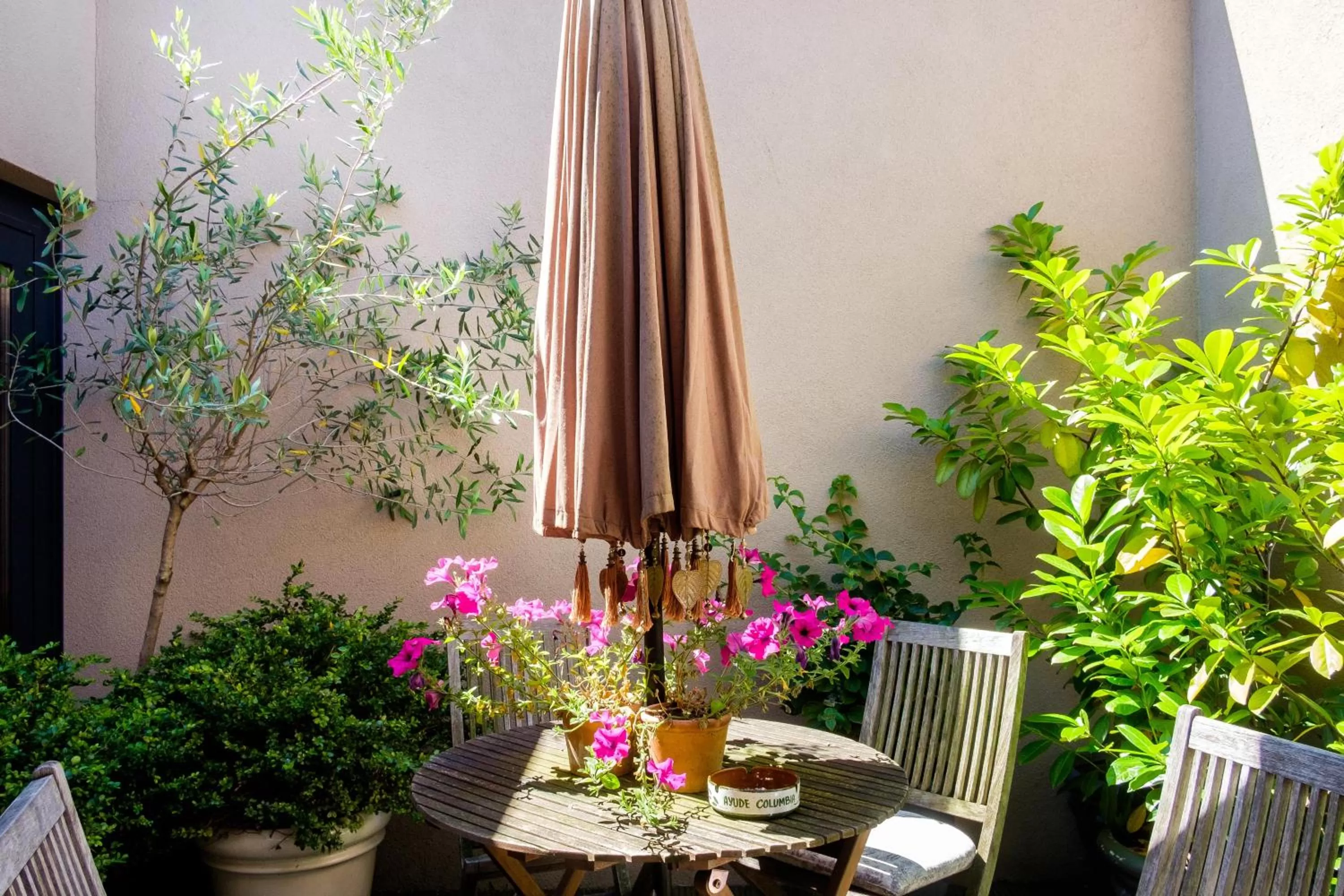 Patio in Hotel Diamonds and Pearls