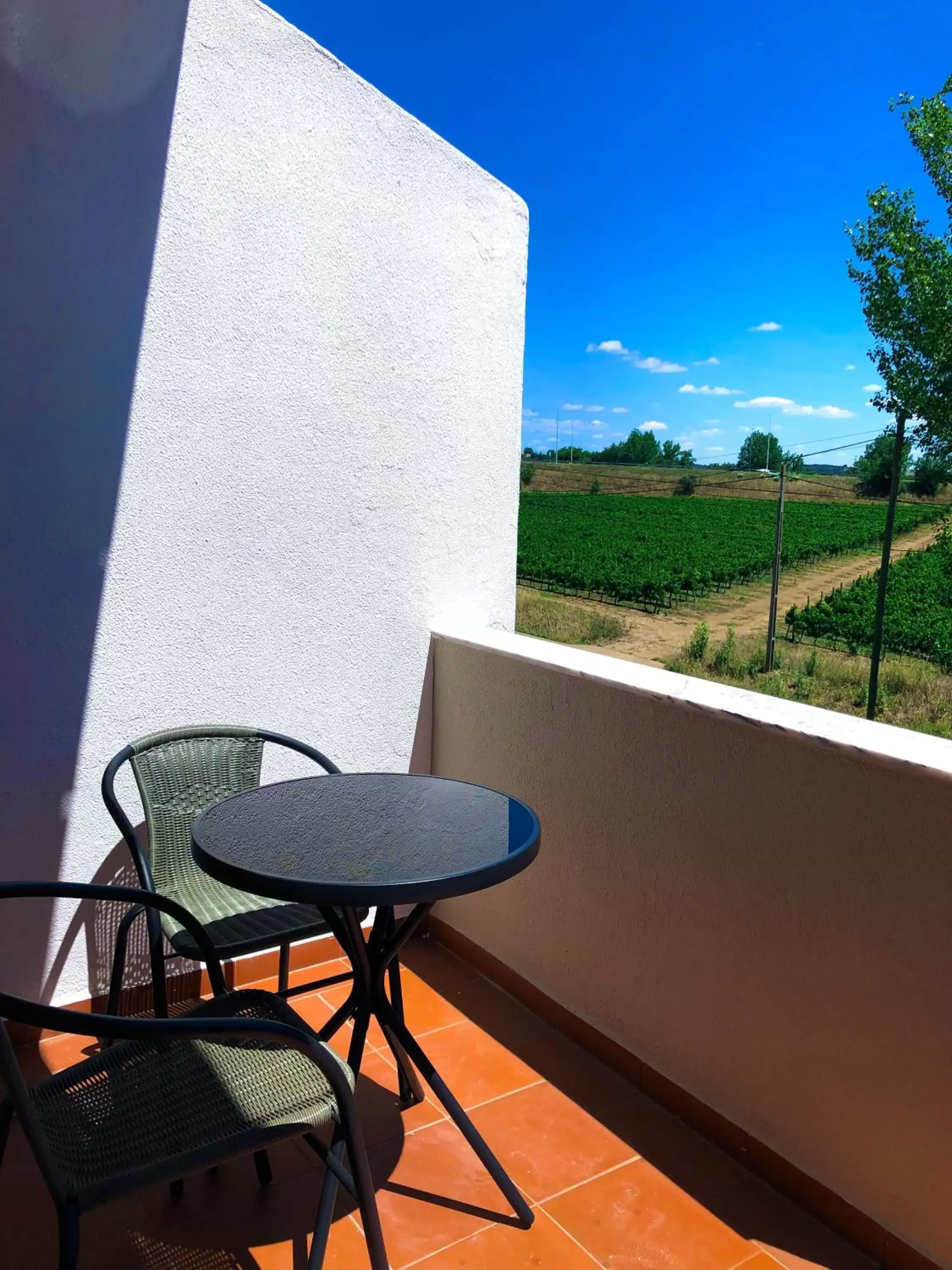 Balcony/Terrace in Estremoz Hotel