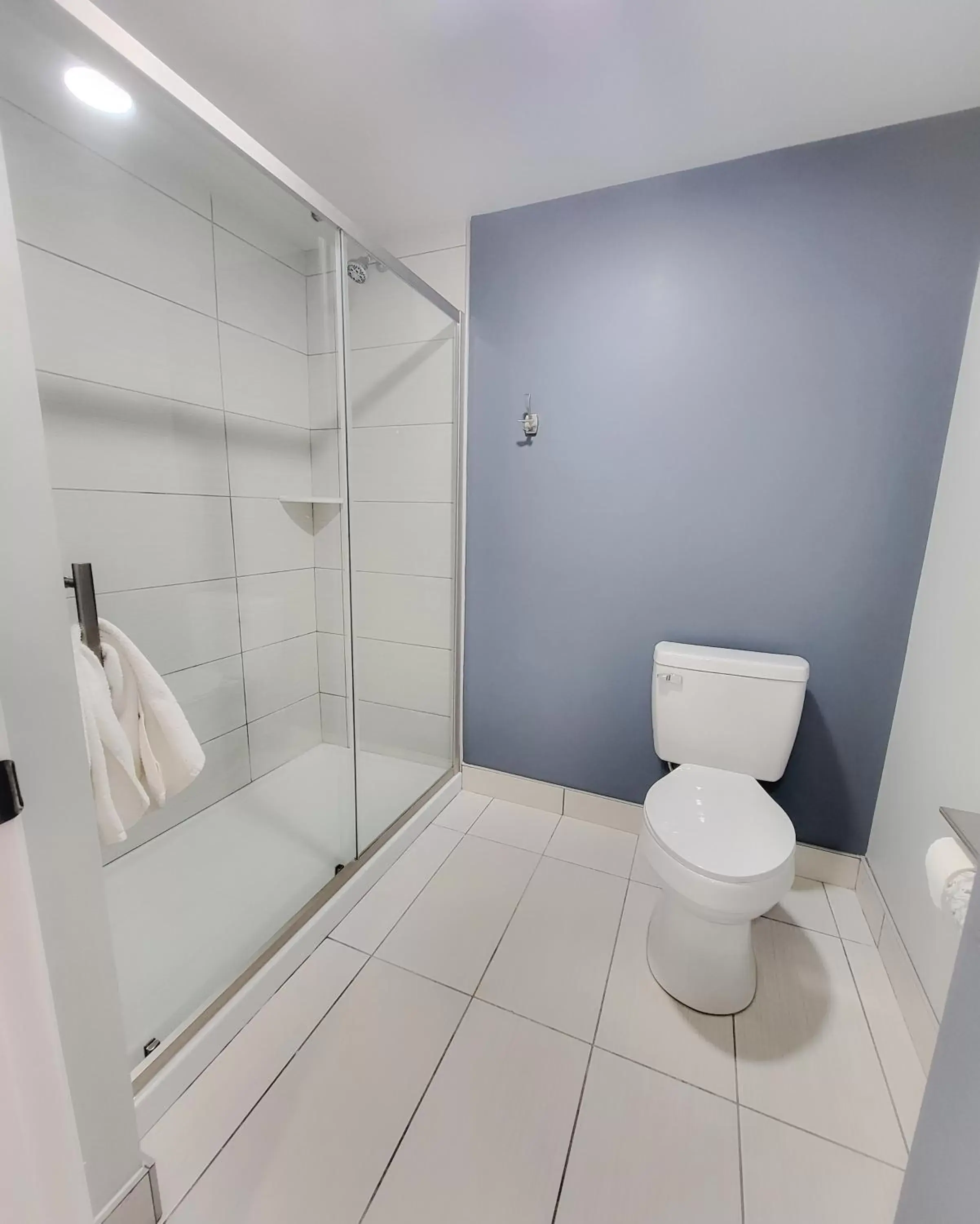 Toilet, Bathroom in Rodeway Inn Norfolk