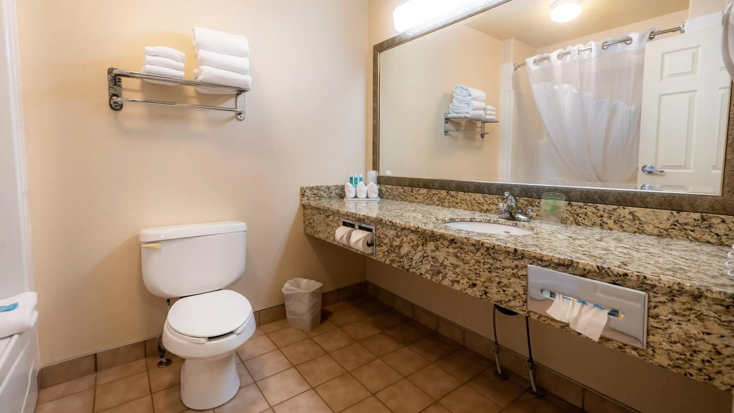 Photo of the whole room, Bathroom in Holiday Inn Express Hotel & Suites - Edmonton International Airport, an IHG Hotel